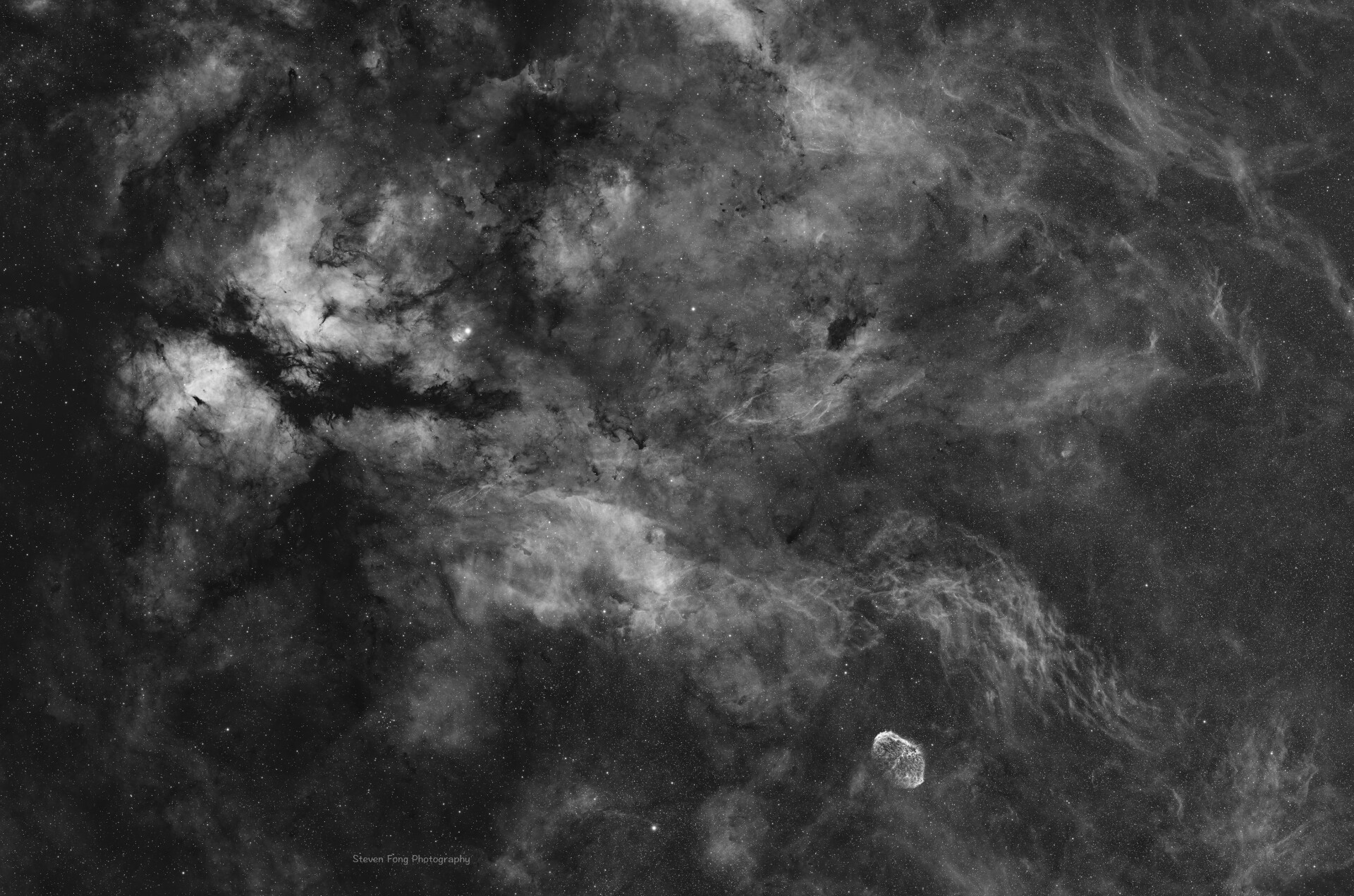 天鹅海 Ocean of Sygnus