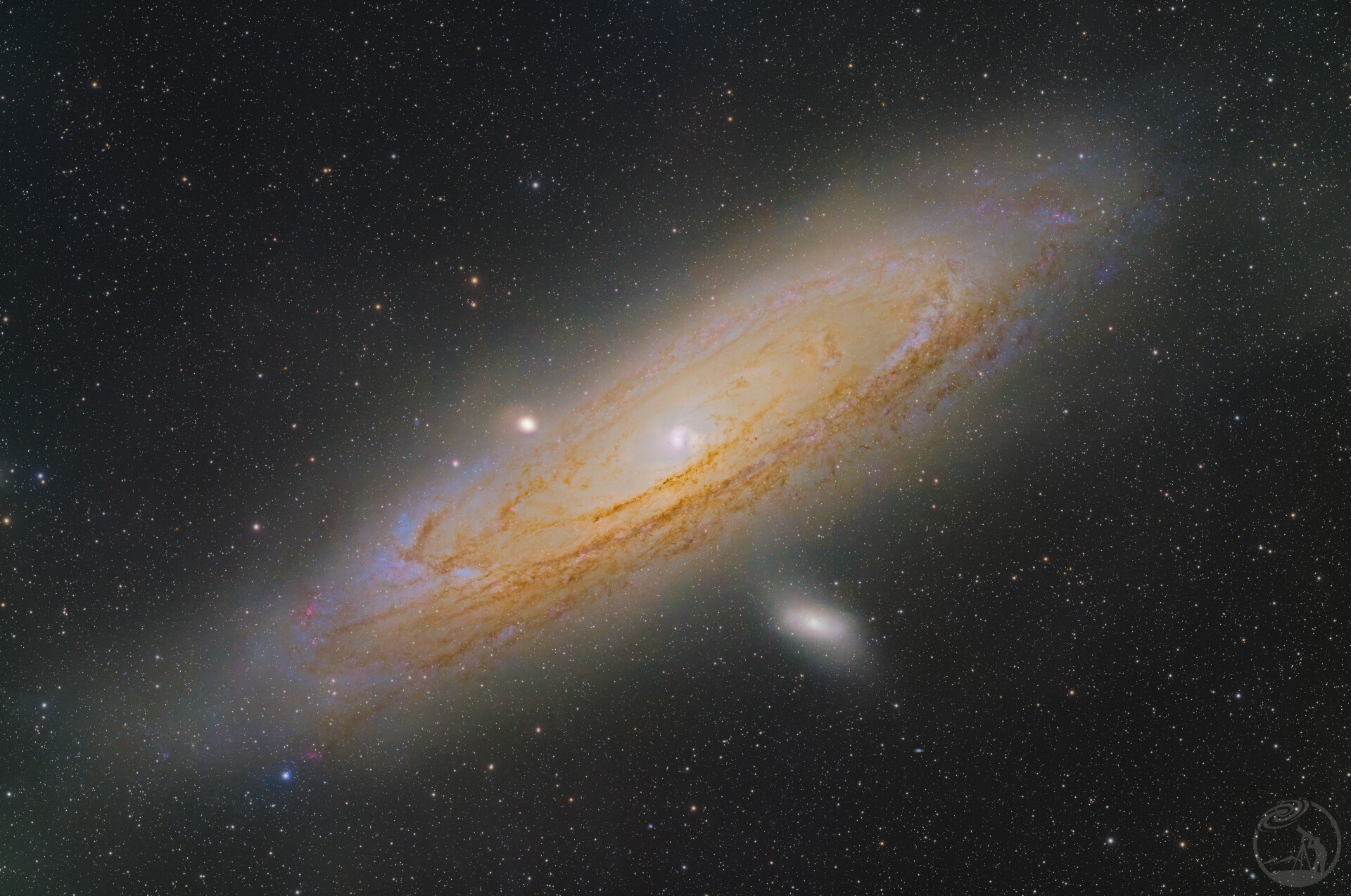 鹈鹕 M31 测试BXT ML5