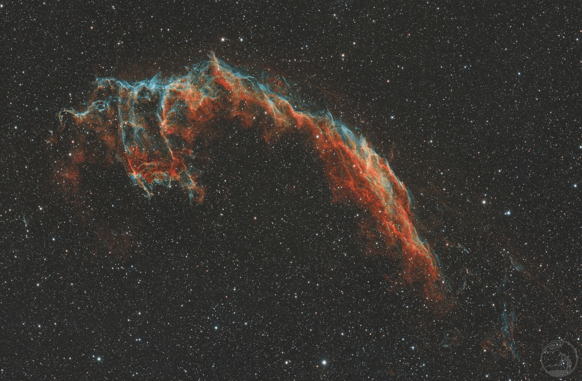 C33