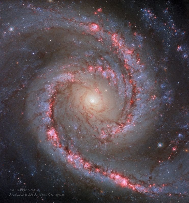 西沙特