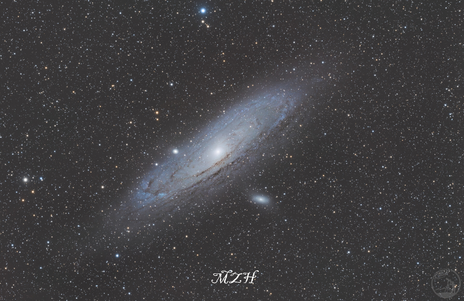 新手M31(无ha通道版)