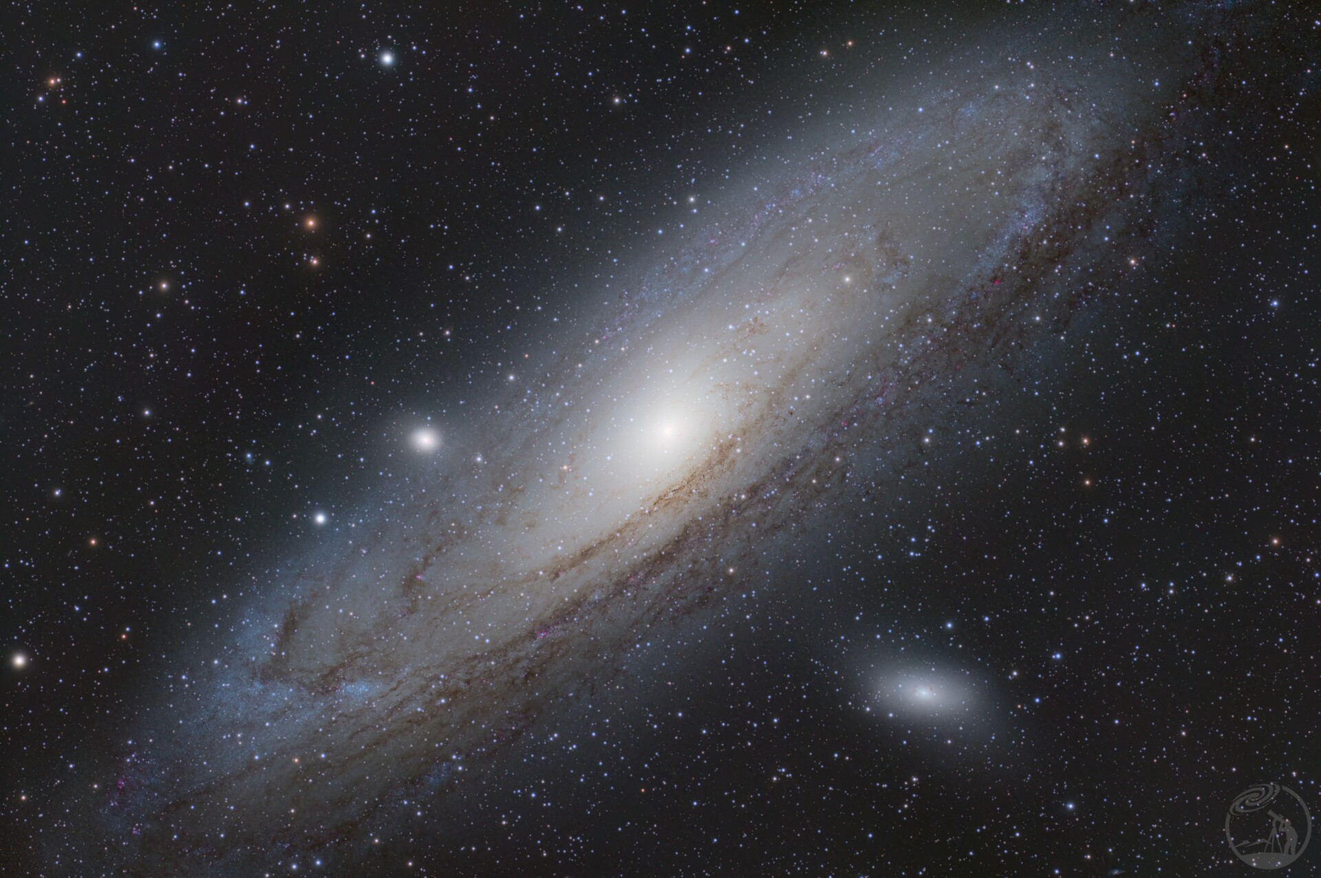 M31