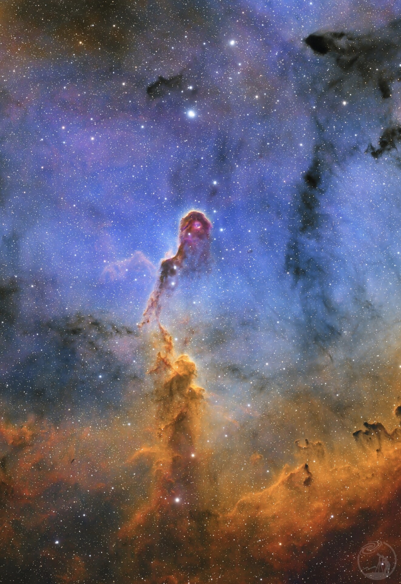 象鼻星云 IC1396