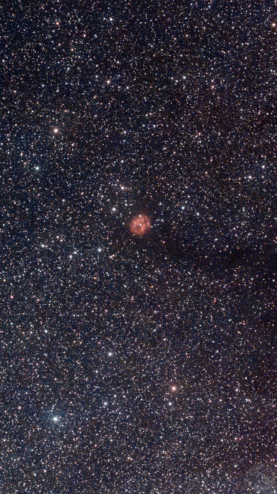IC5146-茧星云