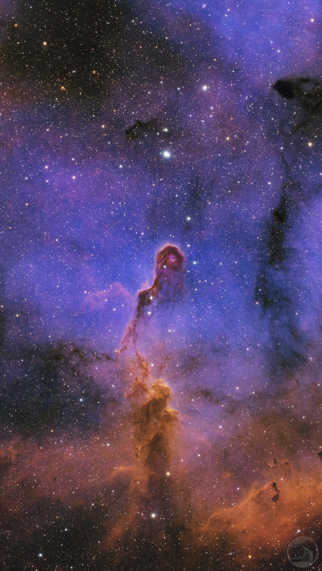 象鼻星云裁切特写