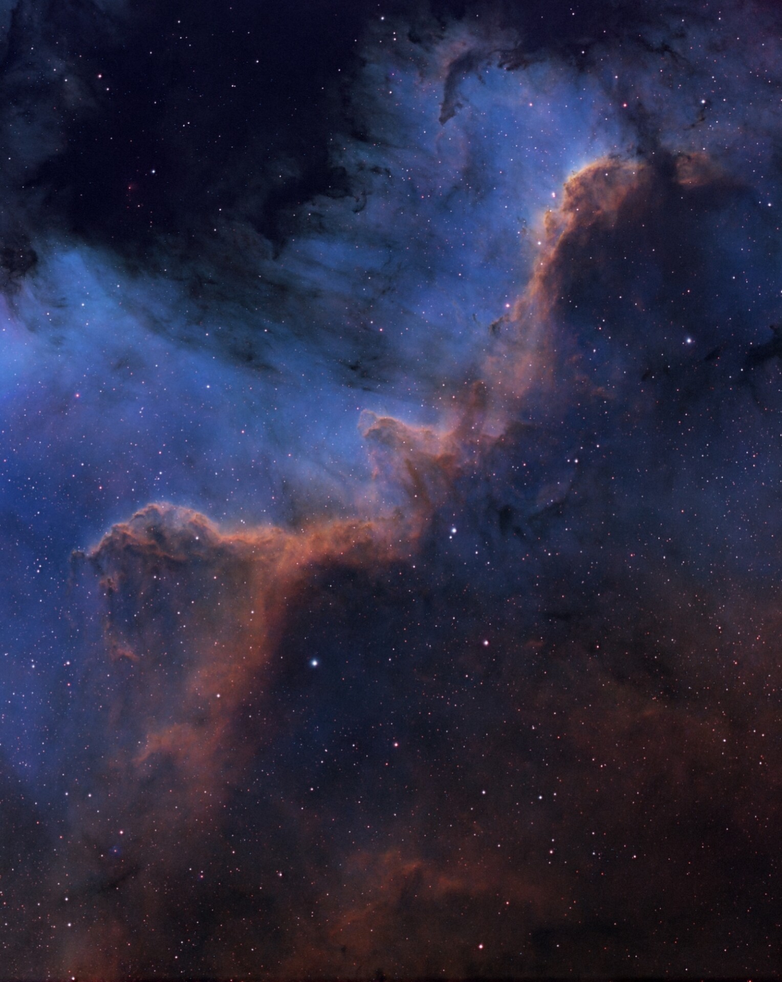 NGC7000北美洲星云