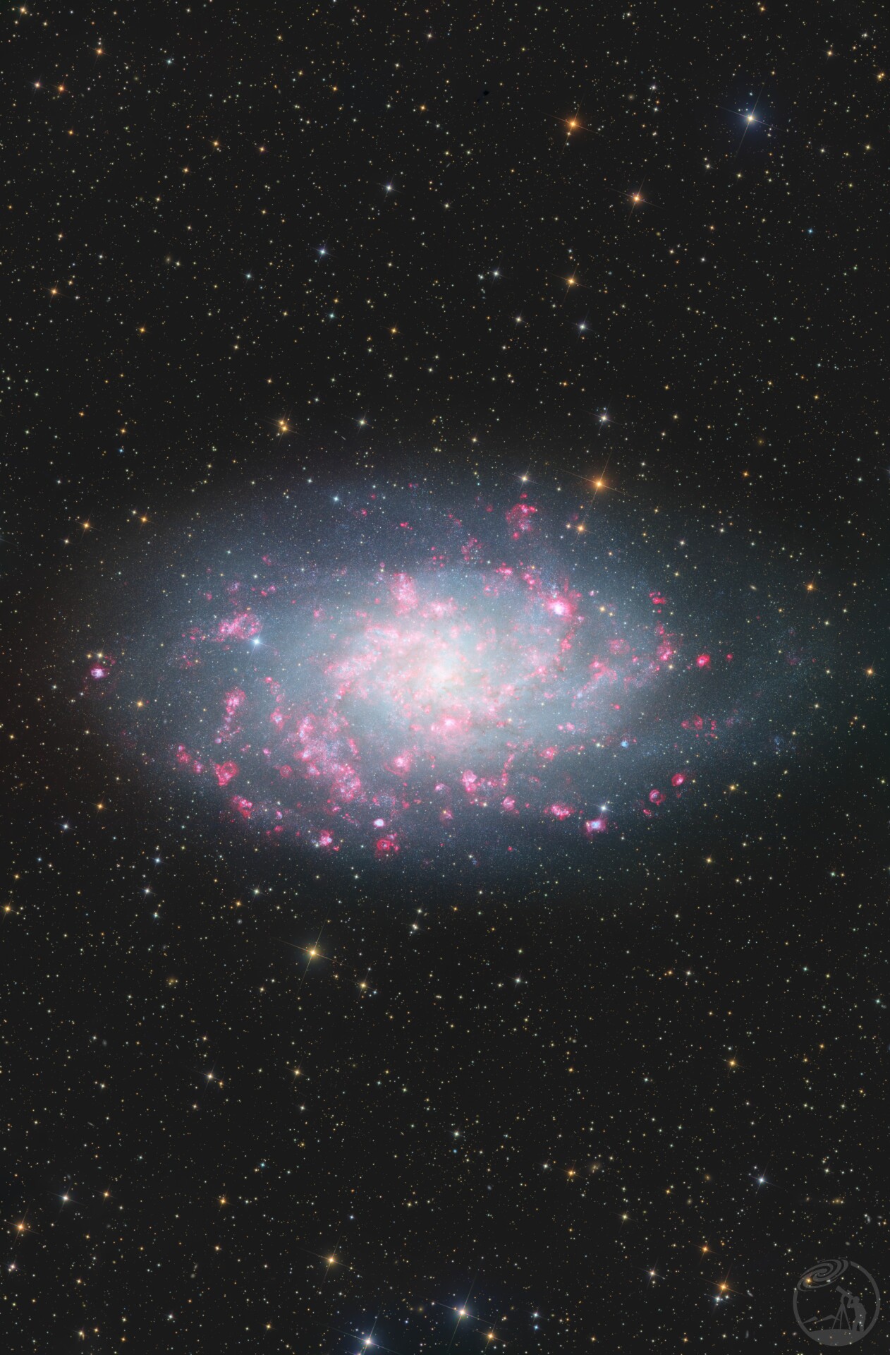 M33