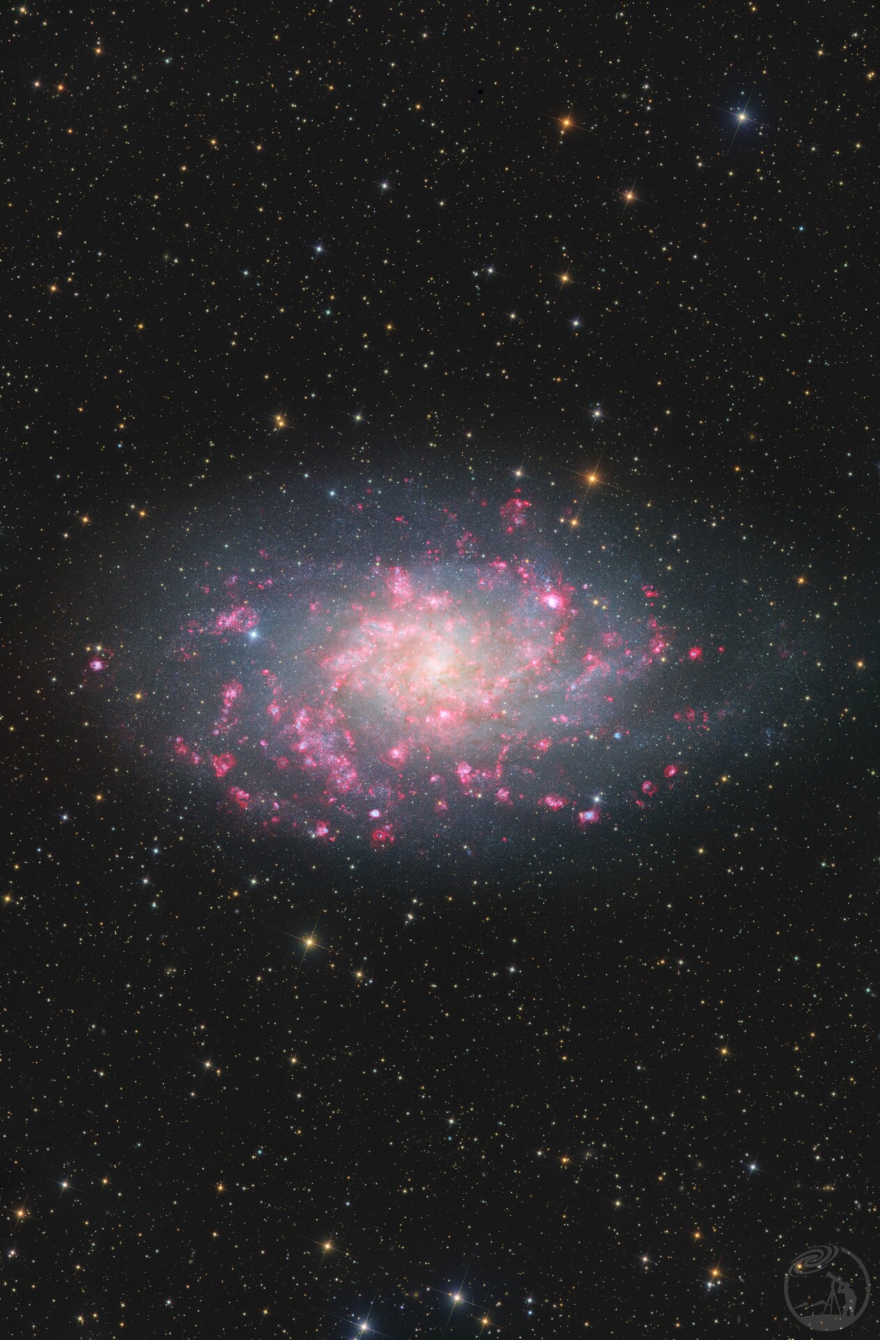 M33