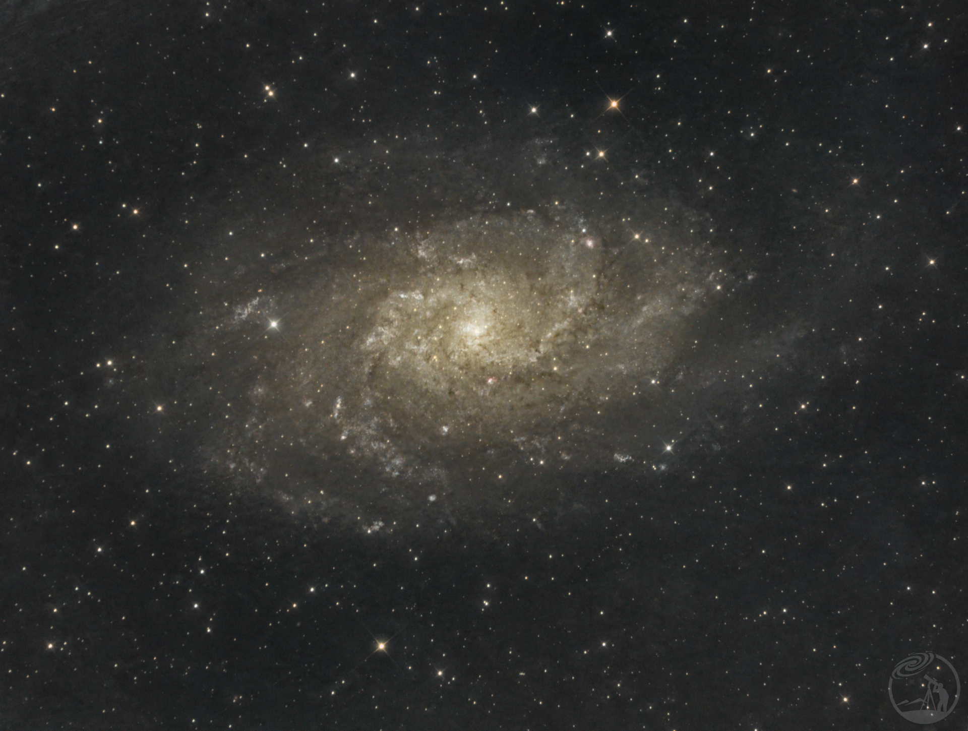 M31、M33