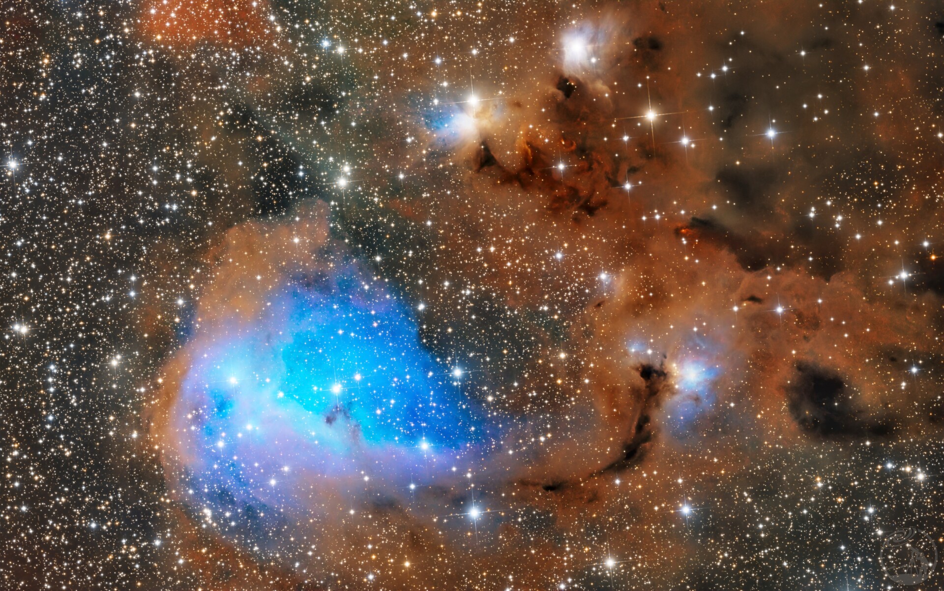 IC 447 鲸歌