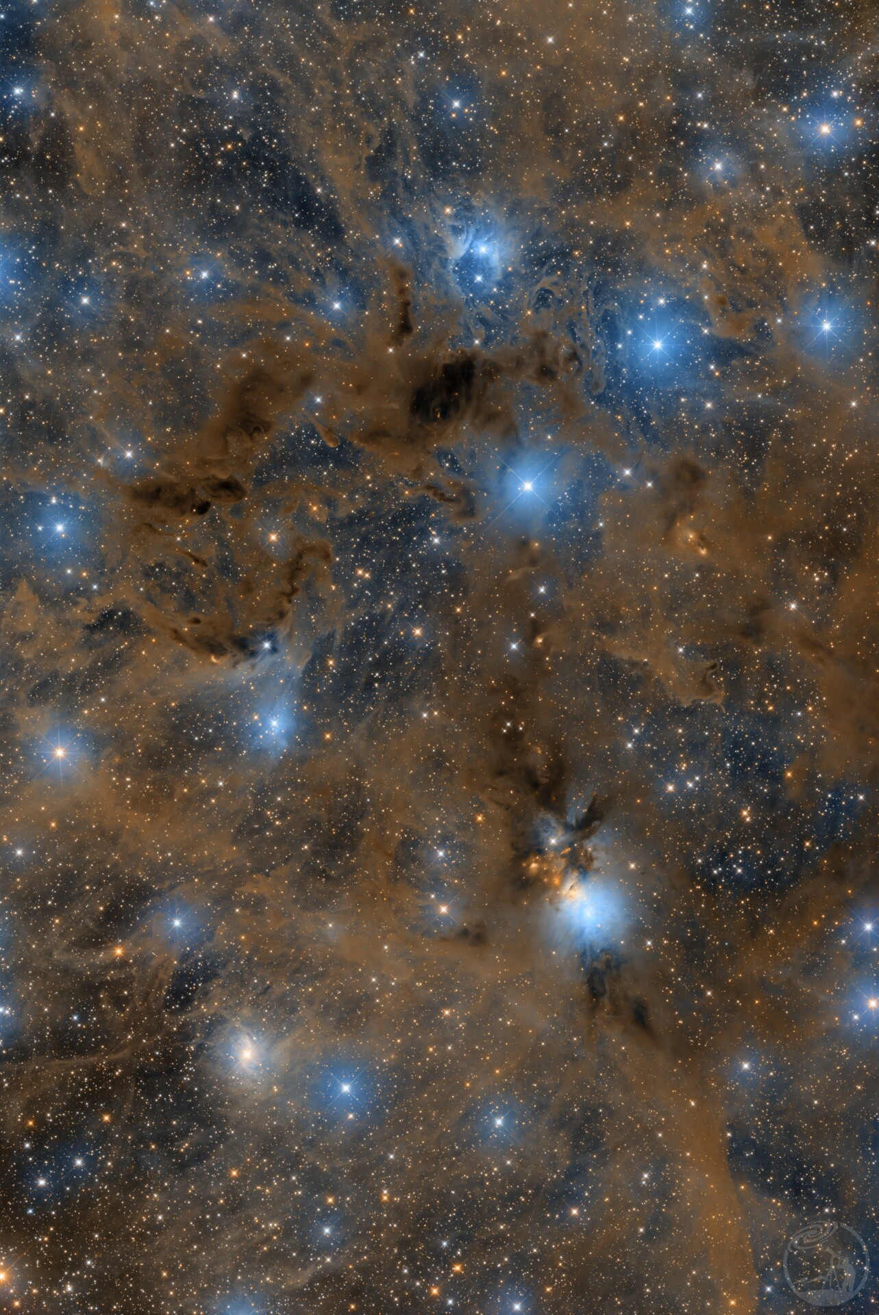 NGC1333