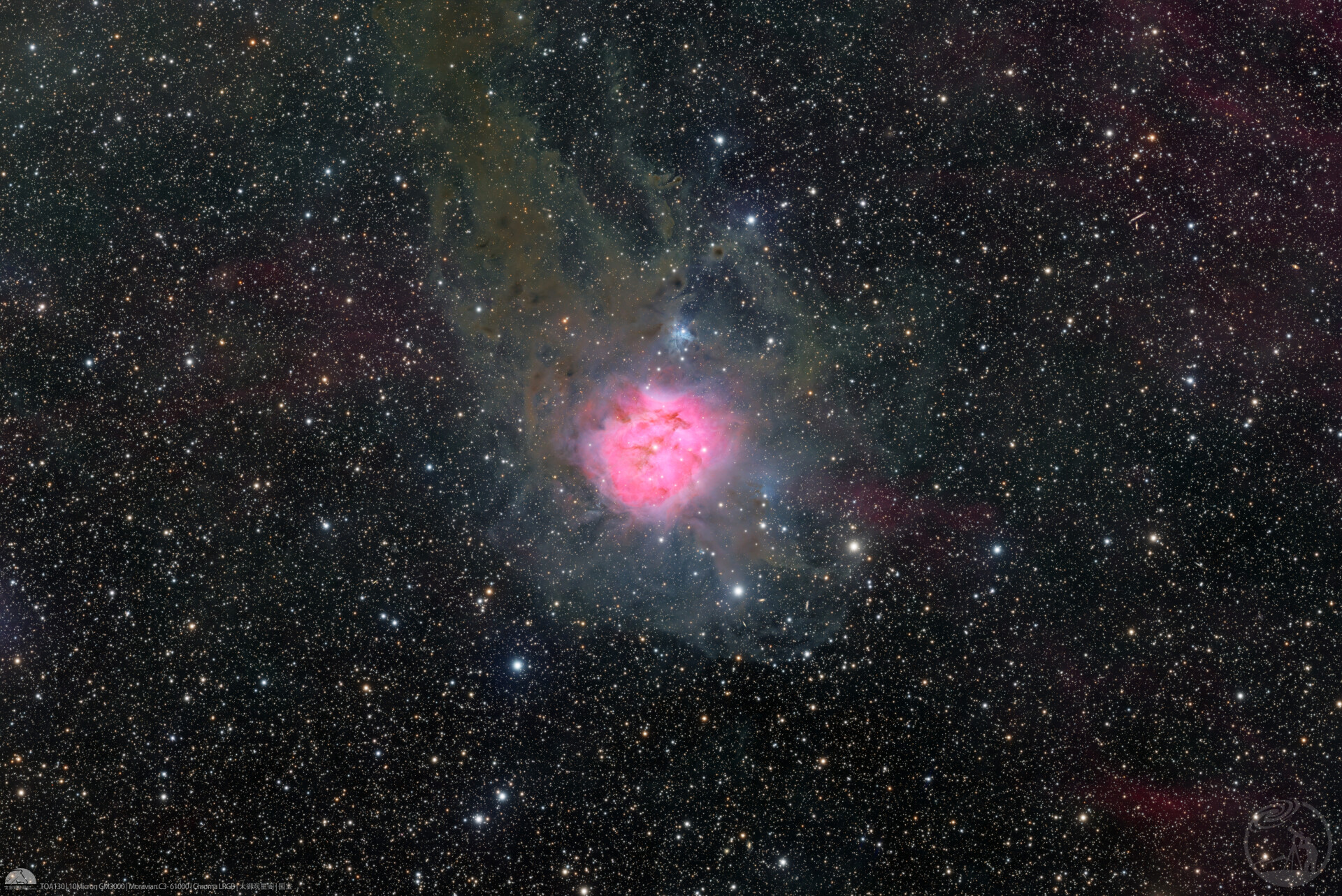 IC5146