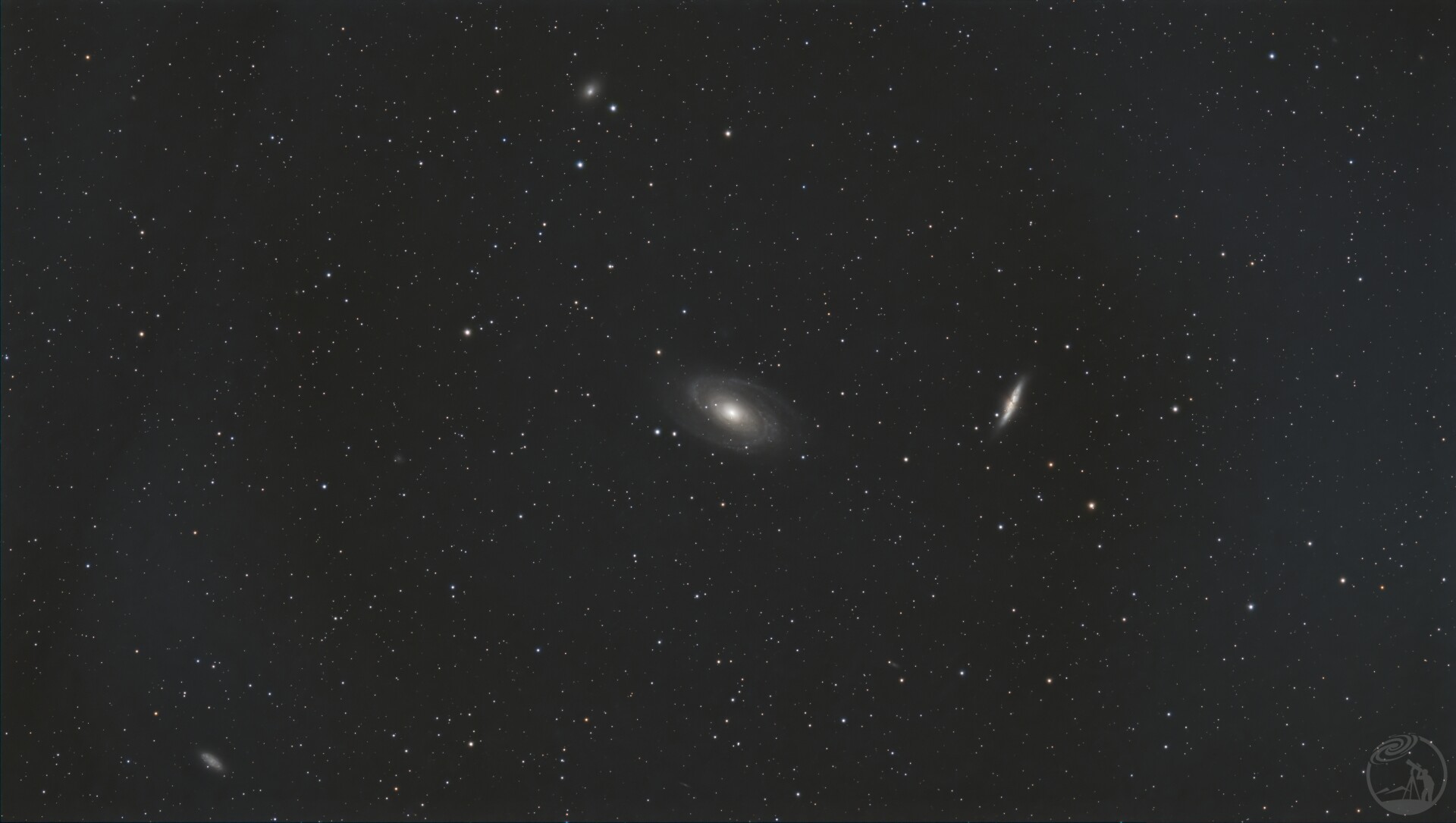 打野m81