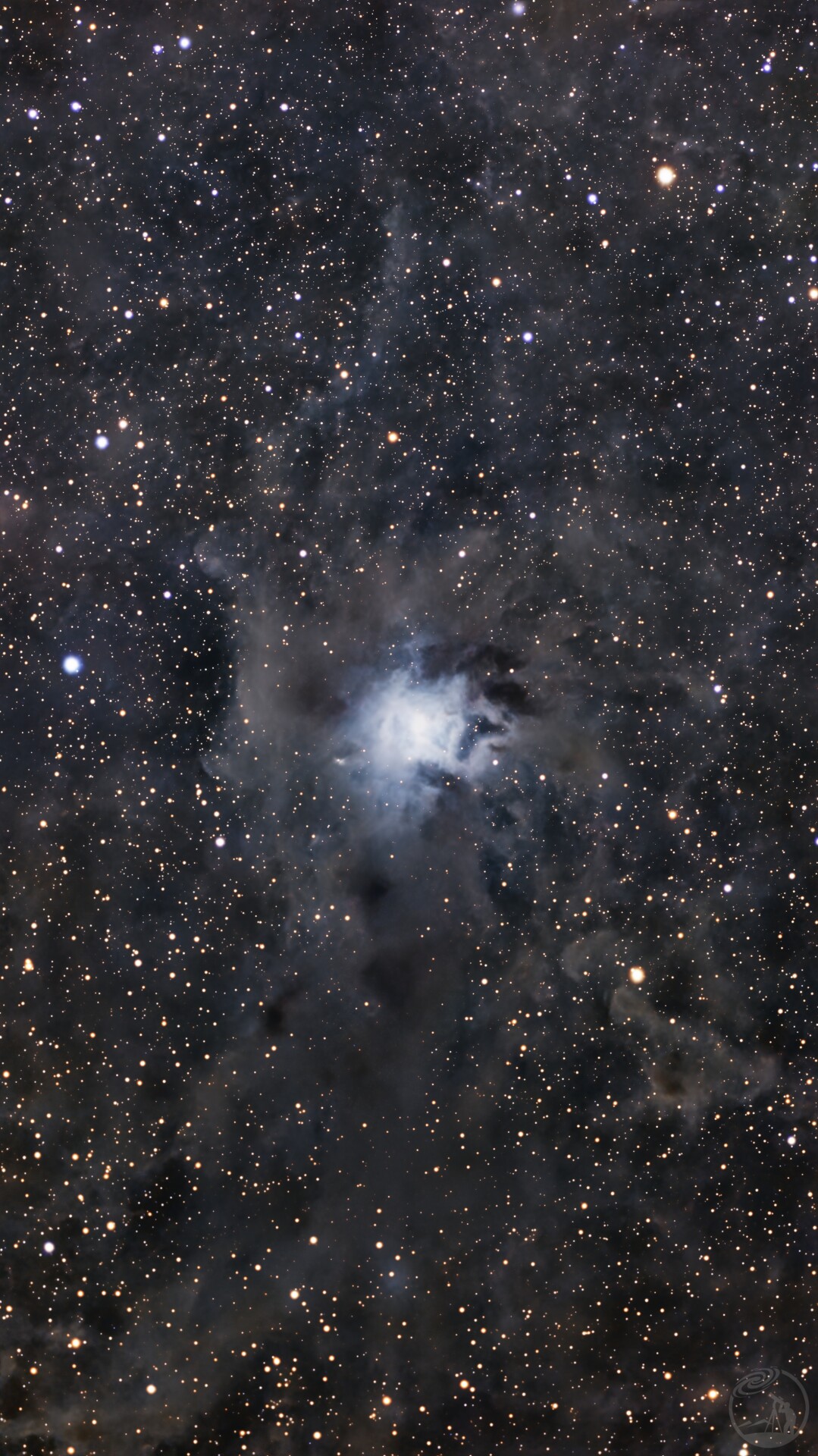 NGC7023鸢尾花星云