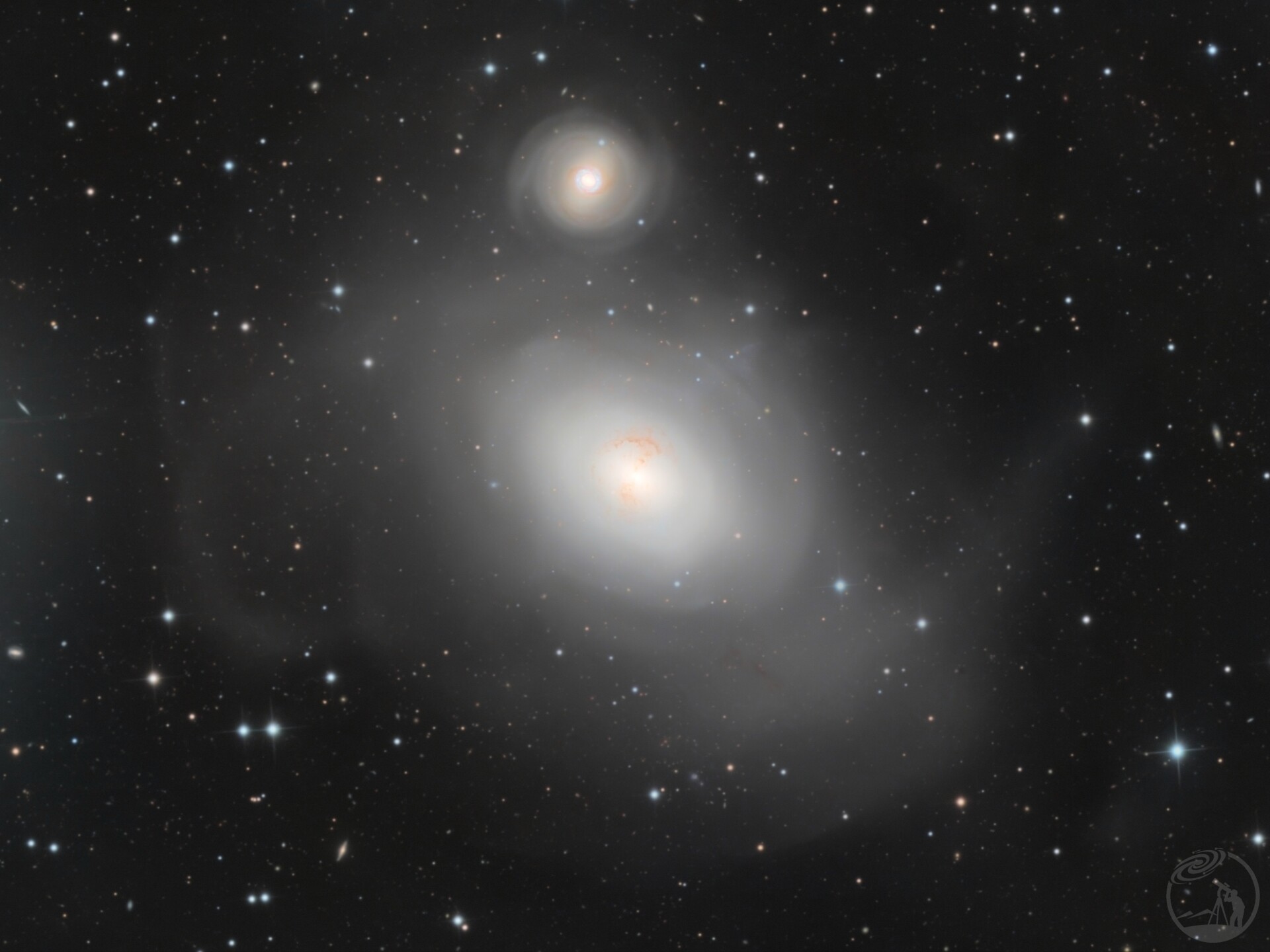 ngc1316
