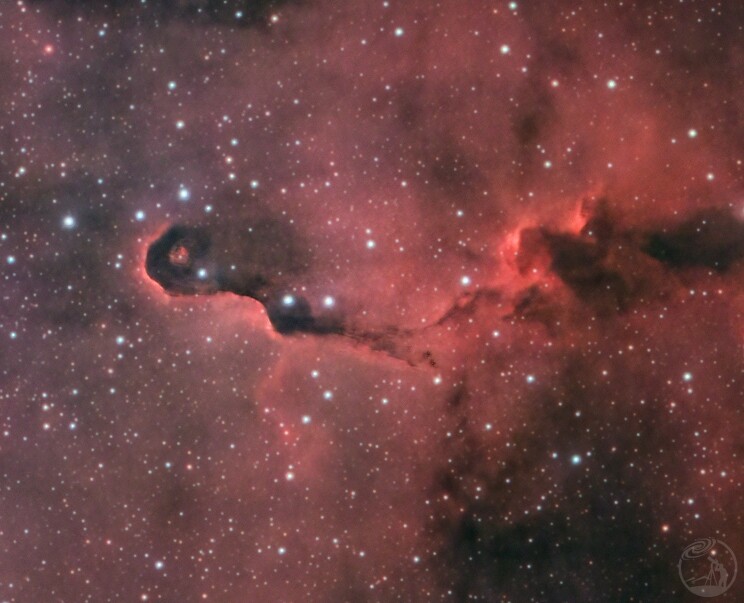 IC1396象鼻星云