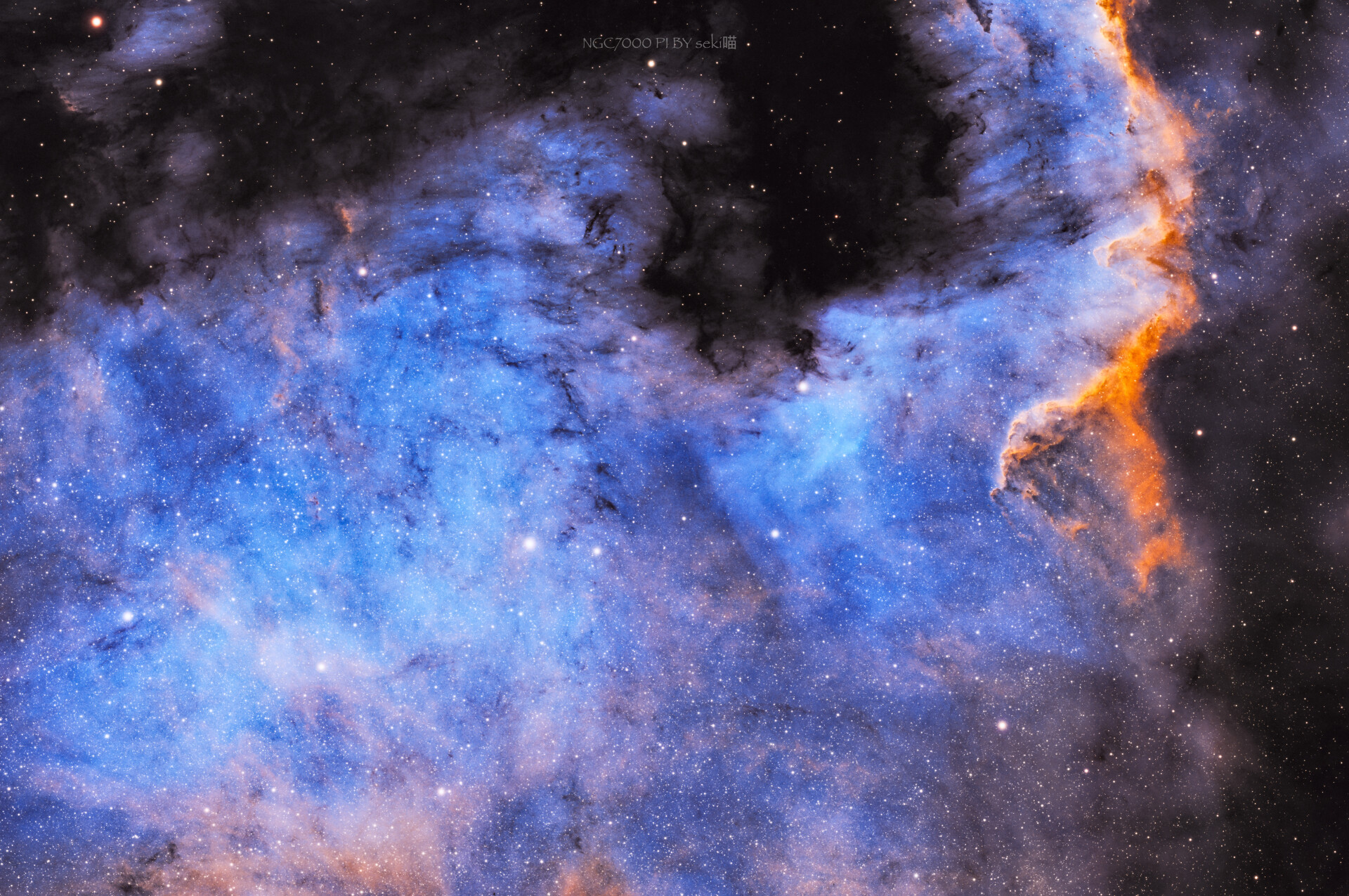 Ngc7000