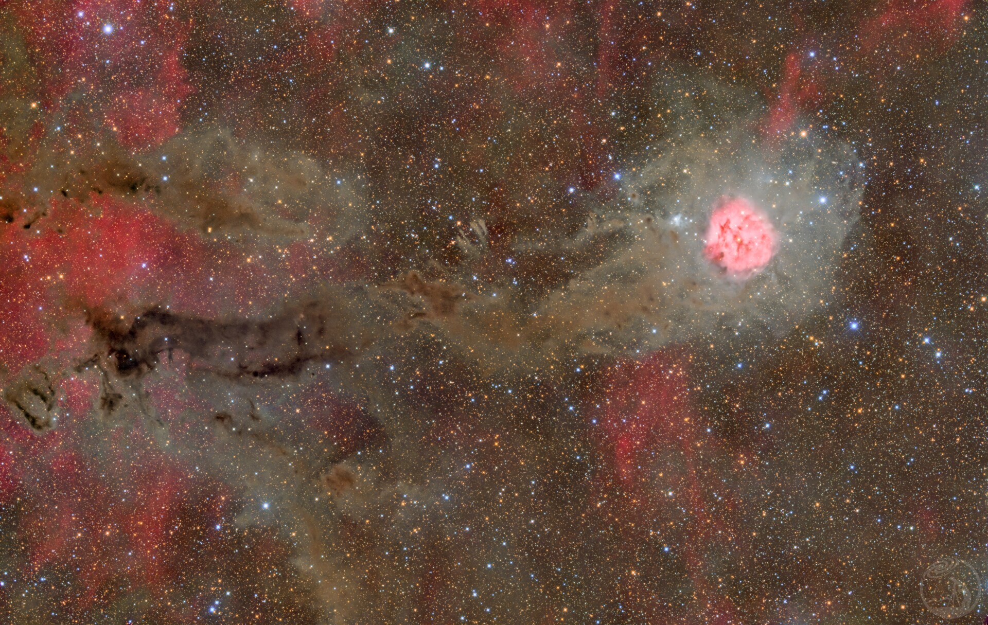 IC5146 茧星云