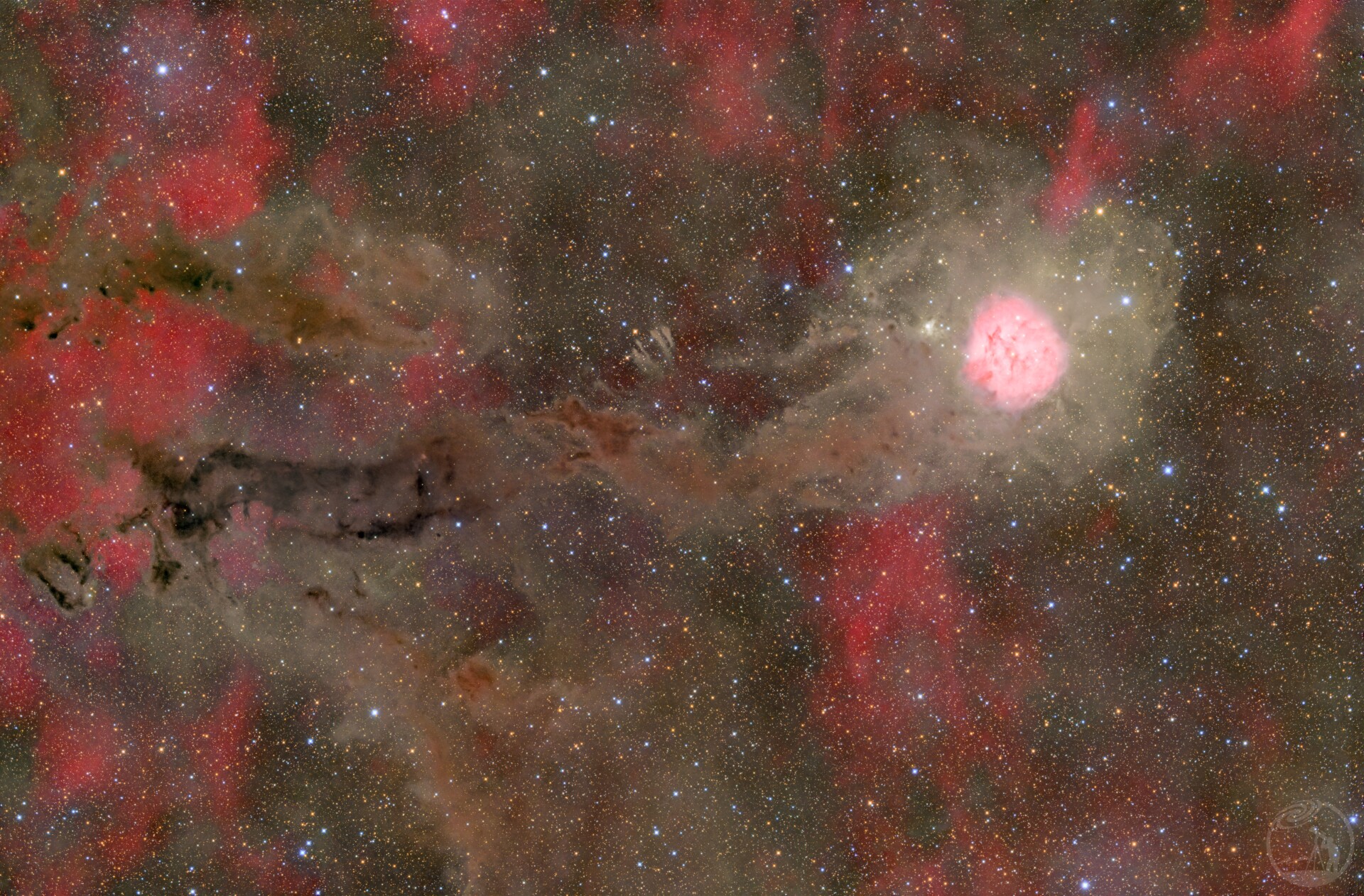 IC5146 茧星云