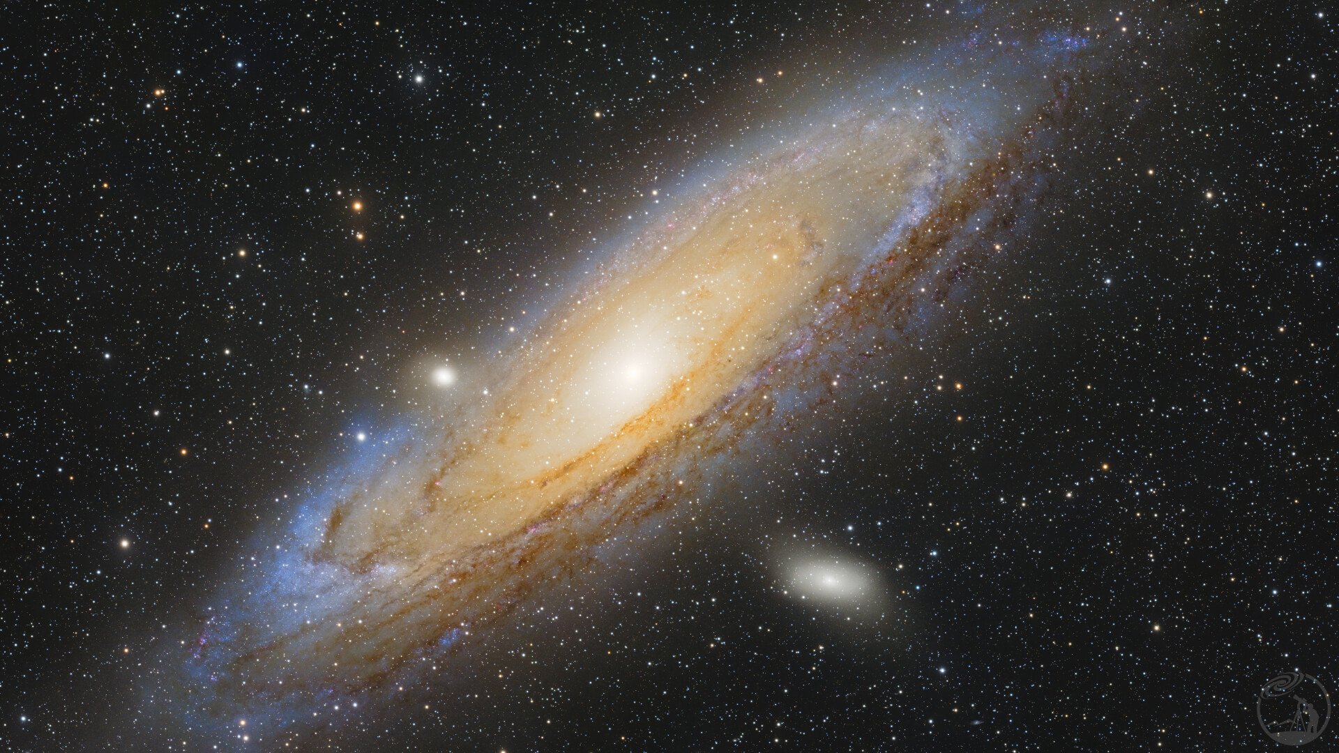 M31