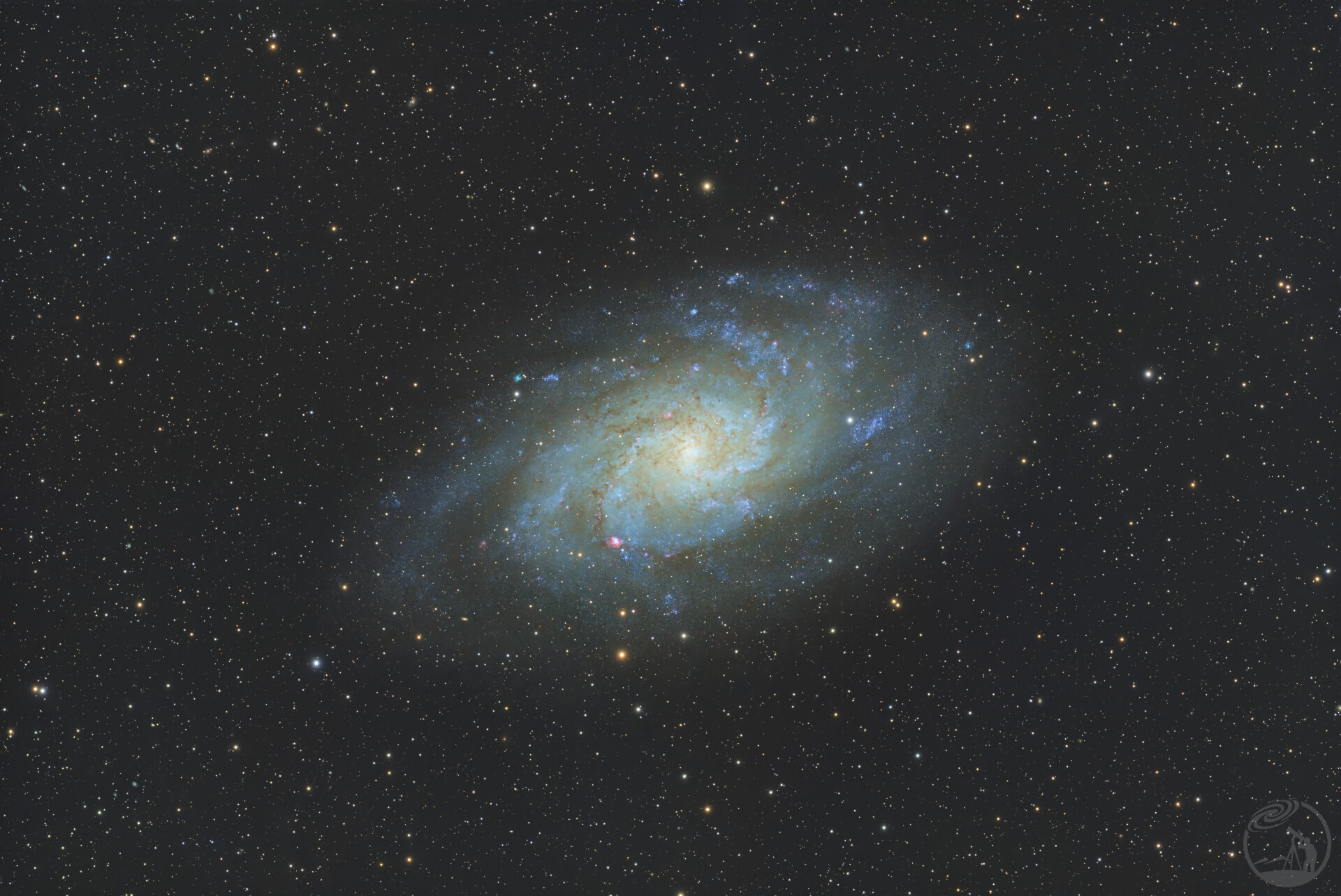 M33