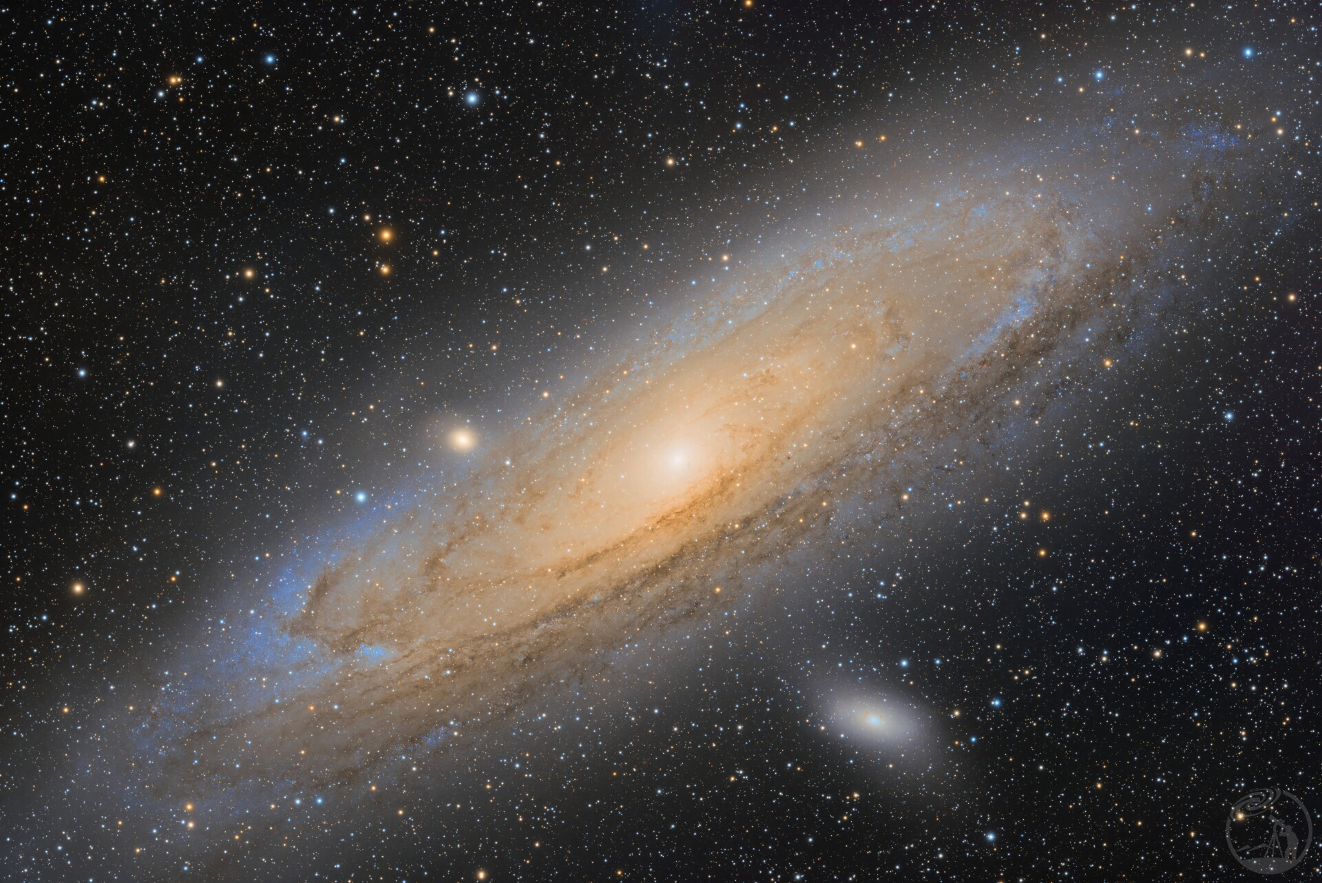 M31