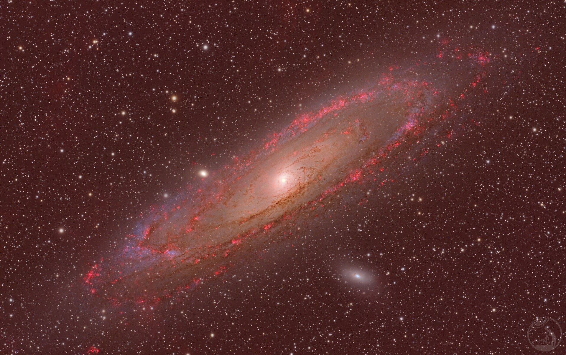 M31