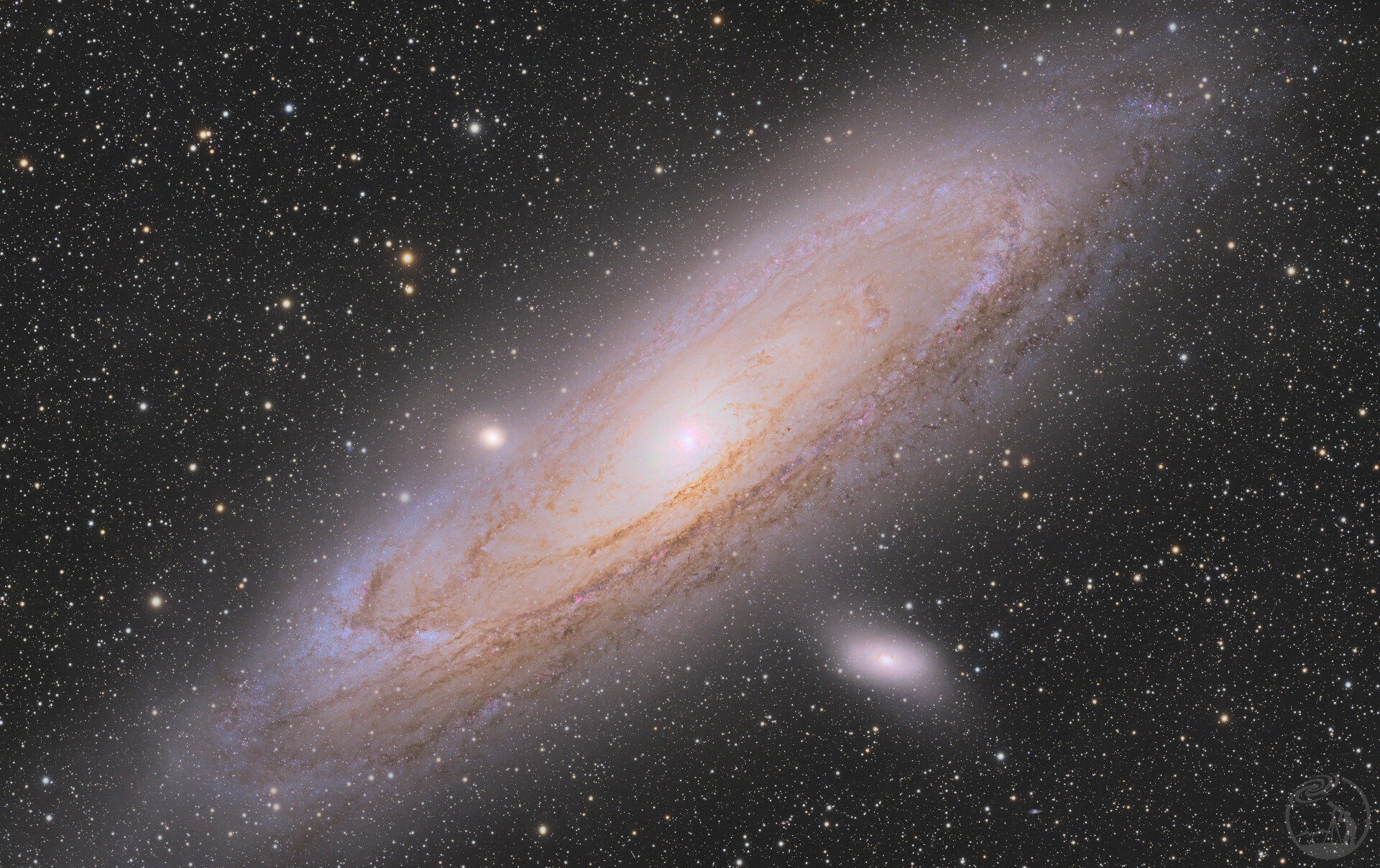 M31