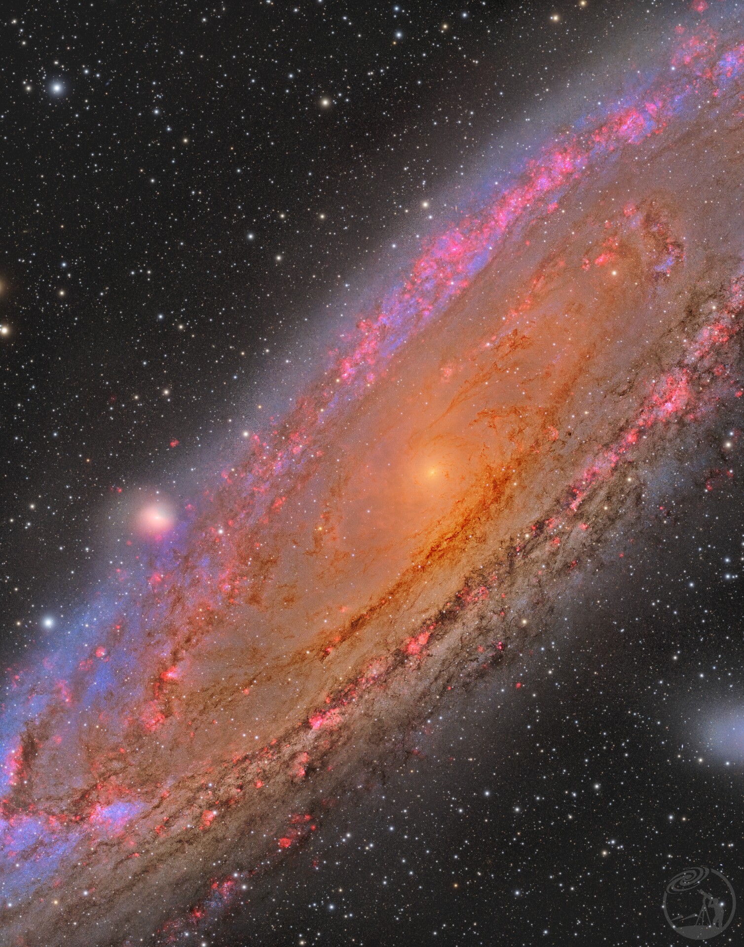 M31