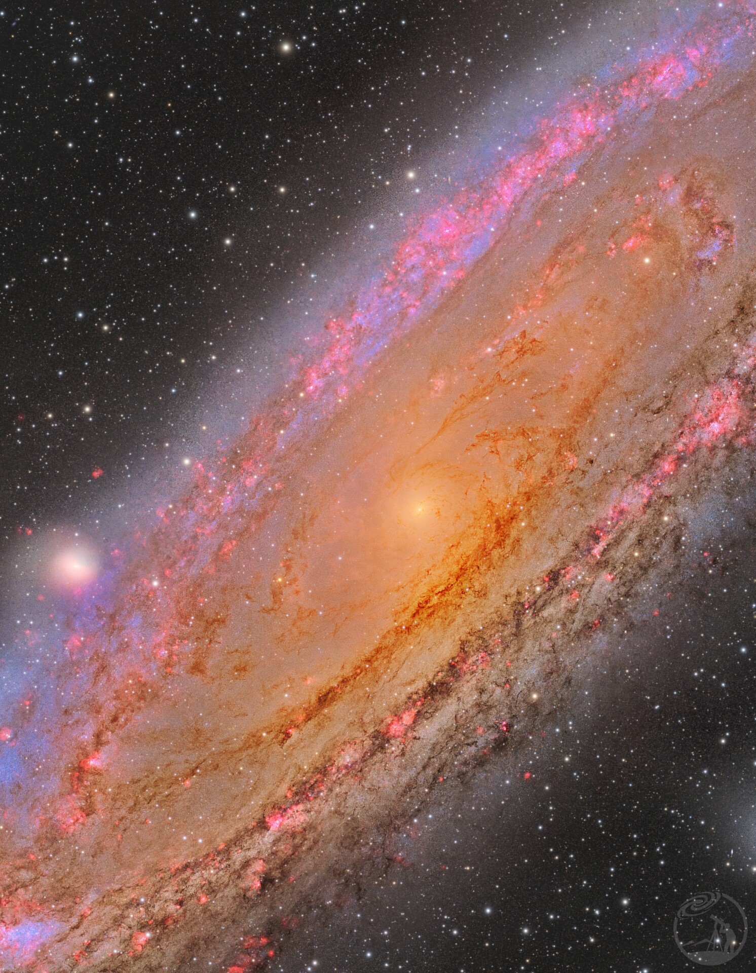 M31