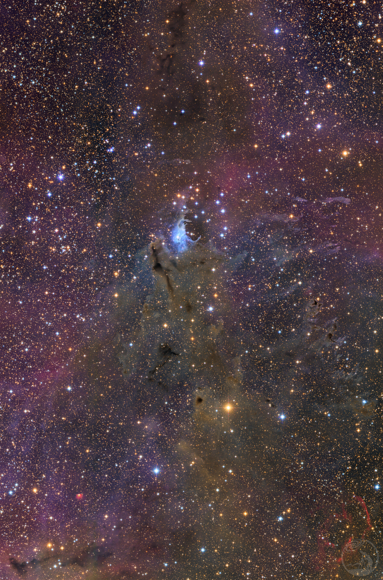 NGC225⛵️星团 & VDB4