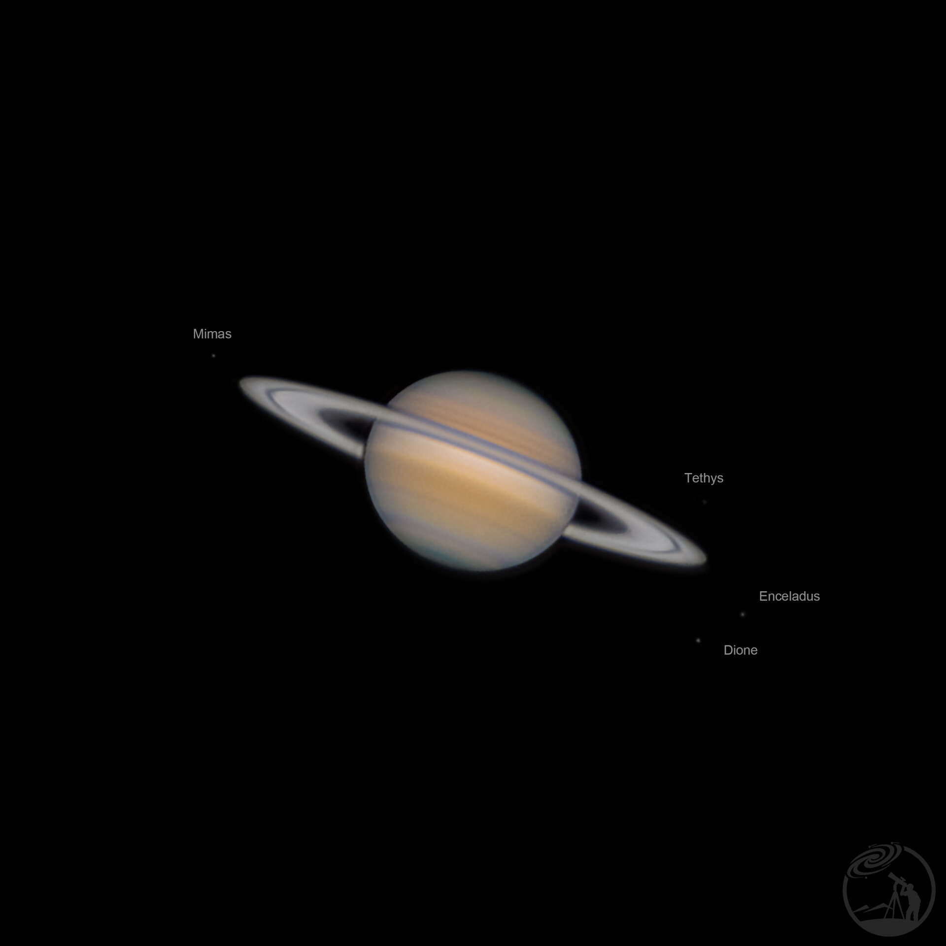 土星带崽