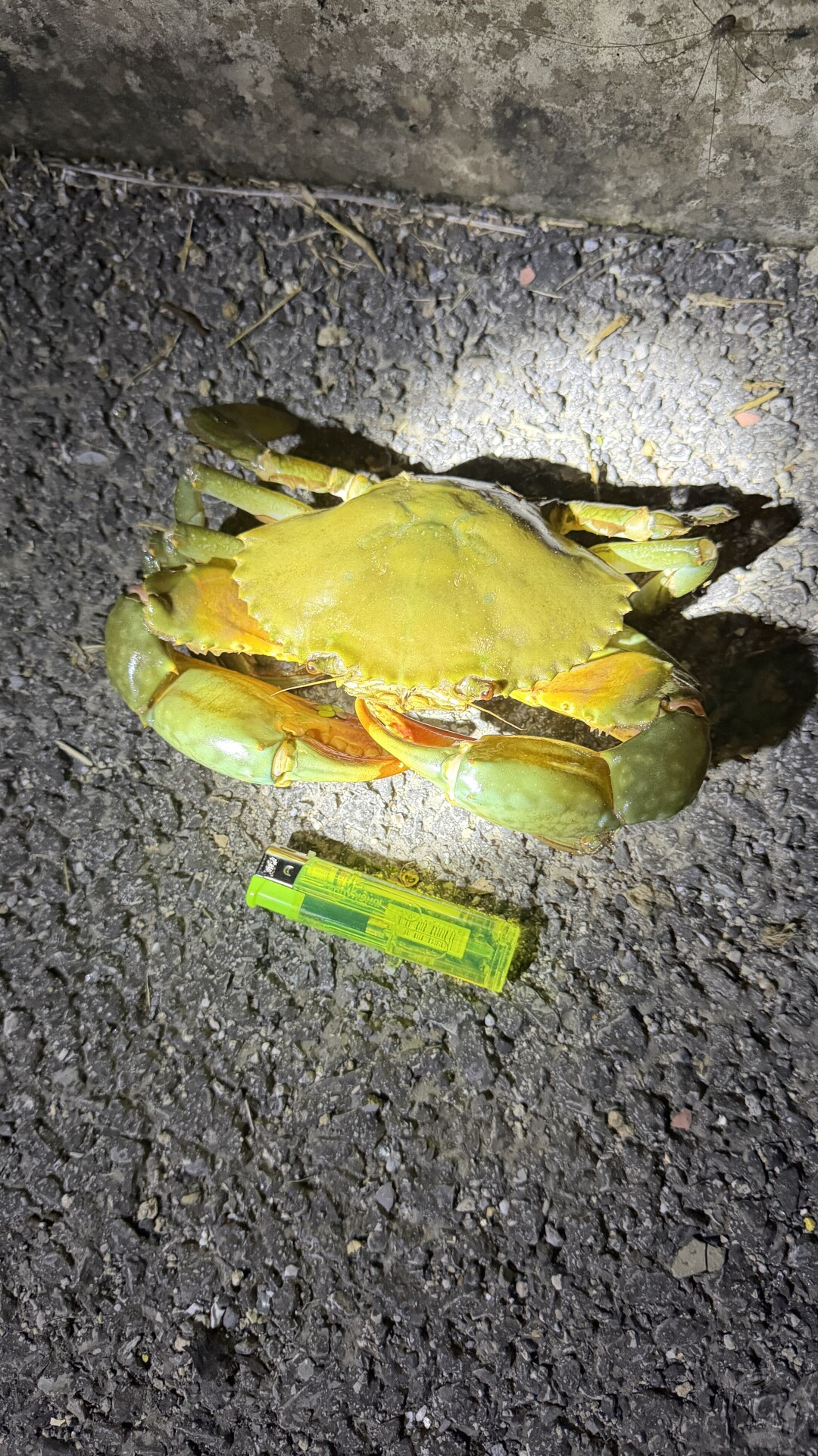 虾球