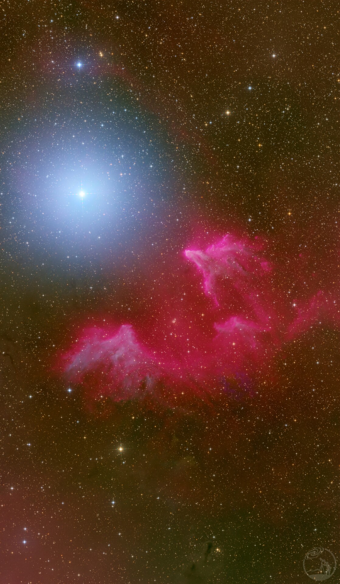IC63策星云