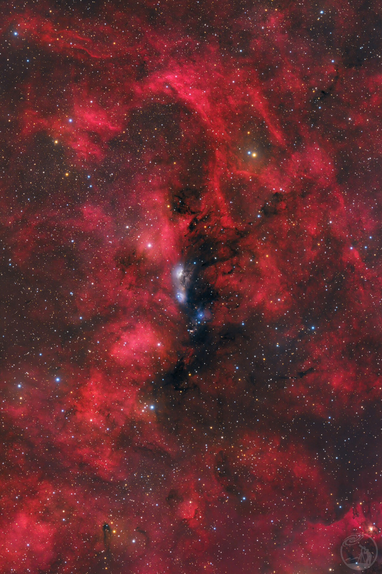 NGC6914