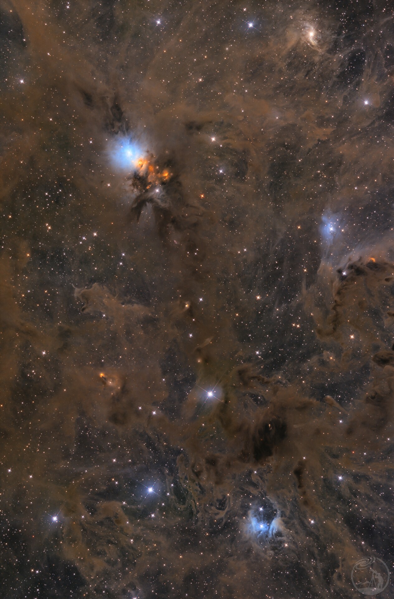 NGC1333 胚胎星云