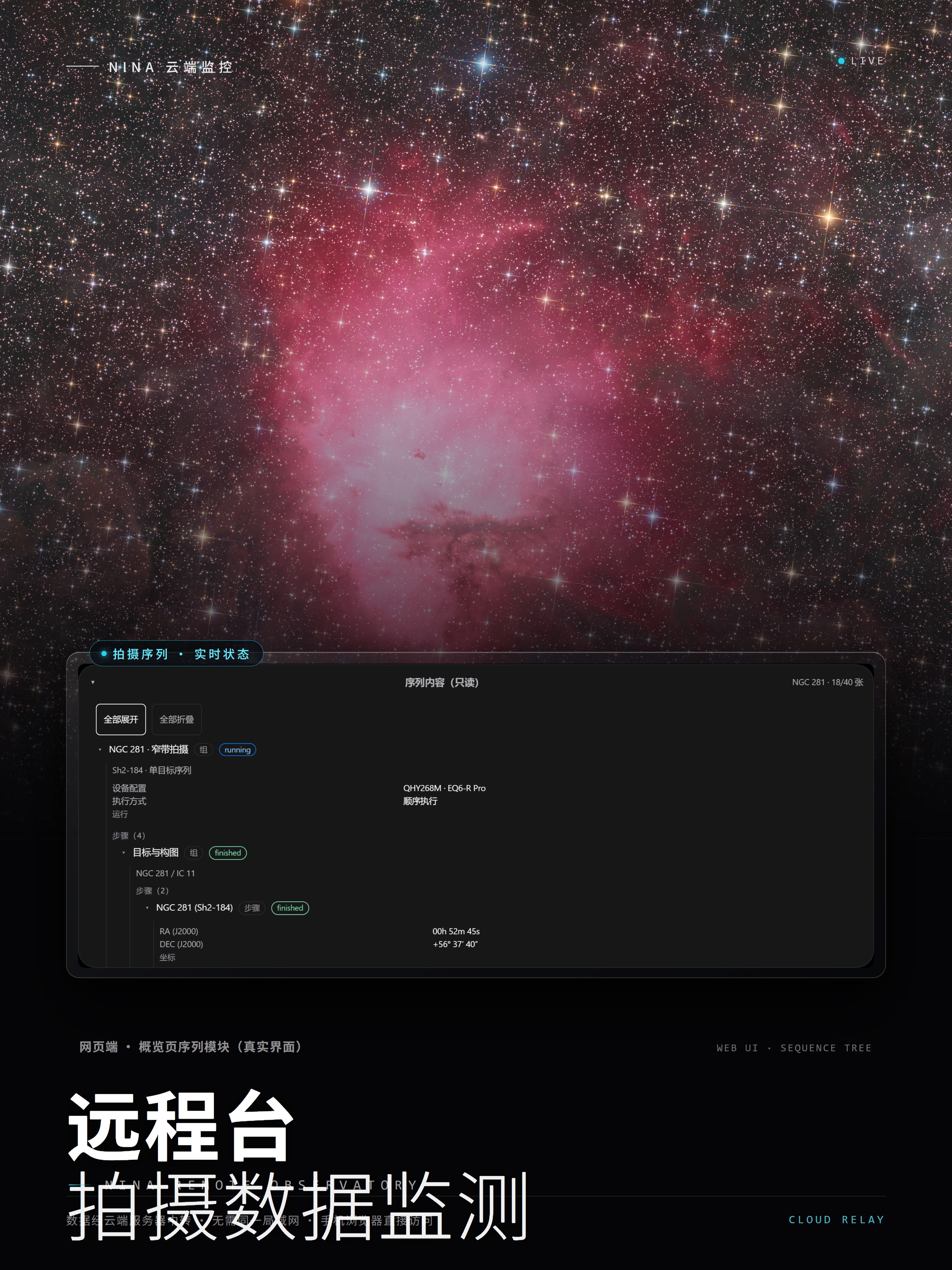 nina_cover.jpg