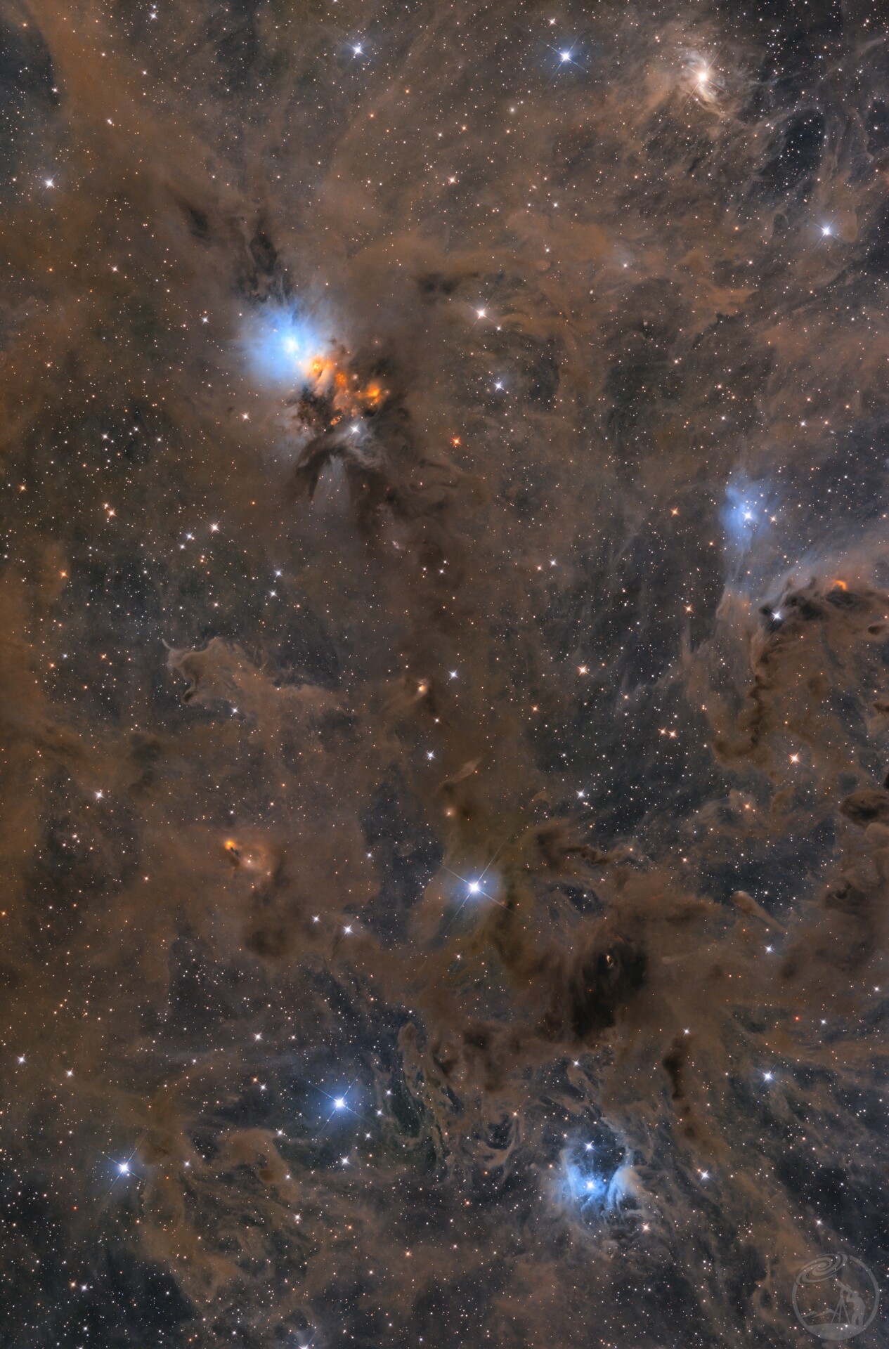 NGC1333 胚胎星云
