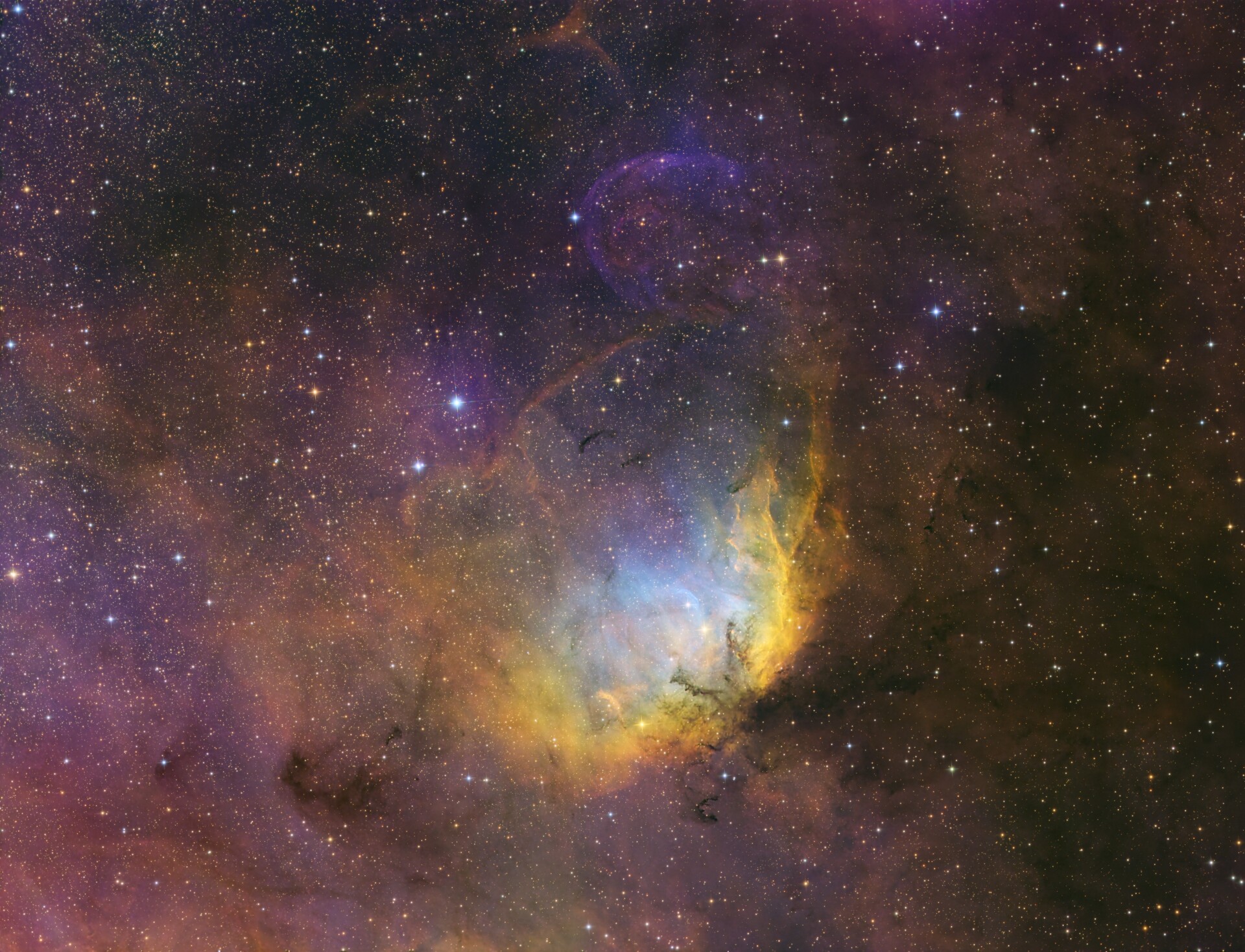 SH2-101郁金香星云（天鹅座X-1）