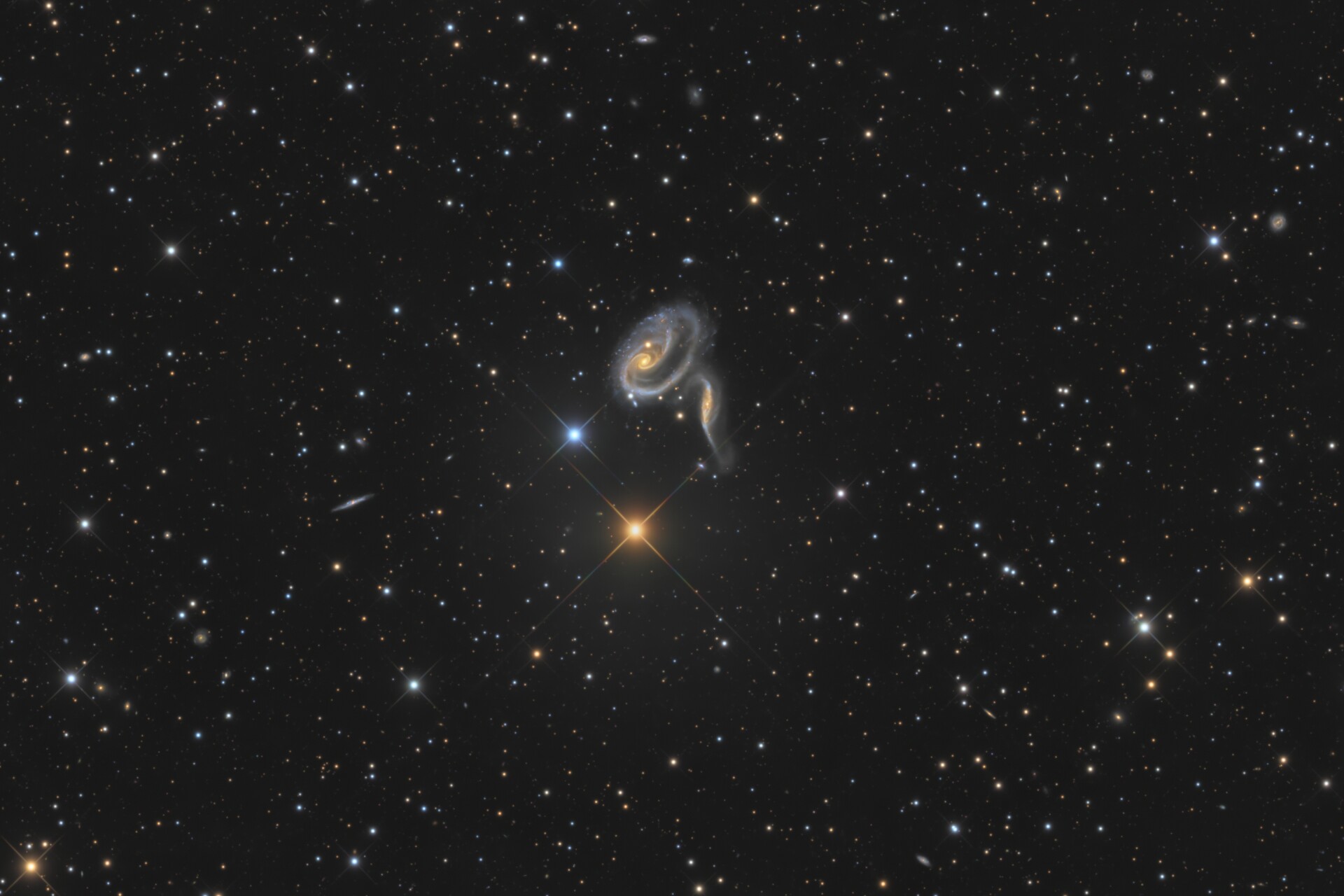 一剪玫 ( ARP 273 )