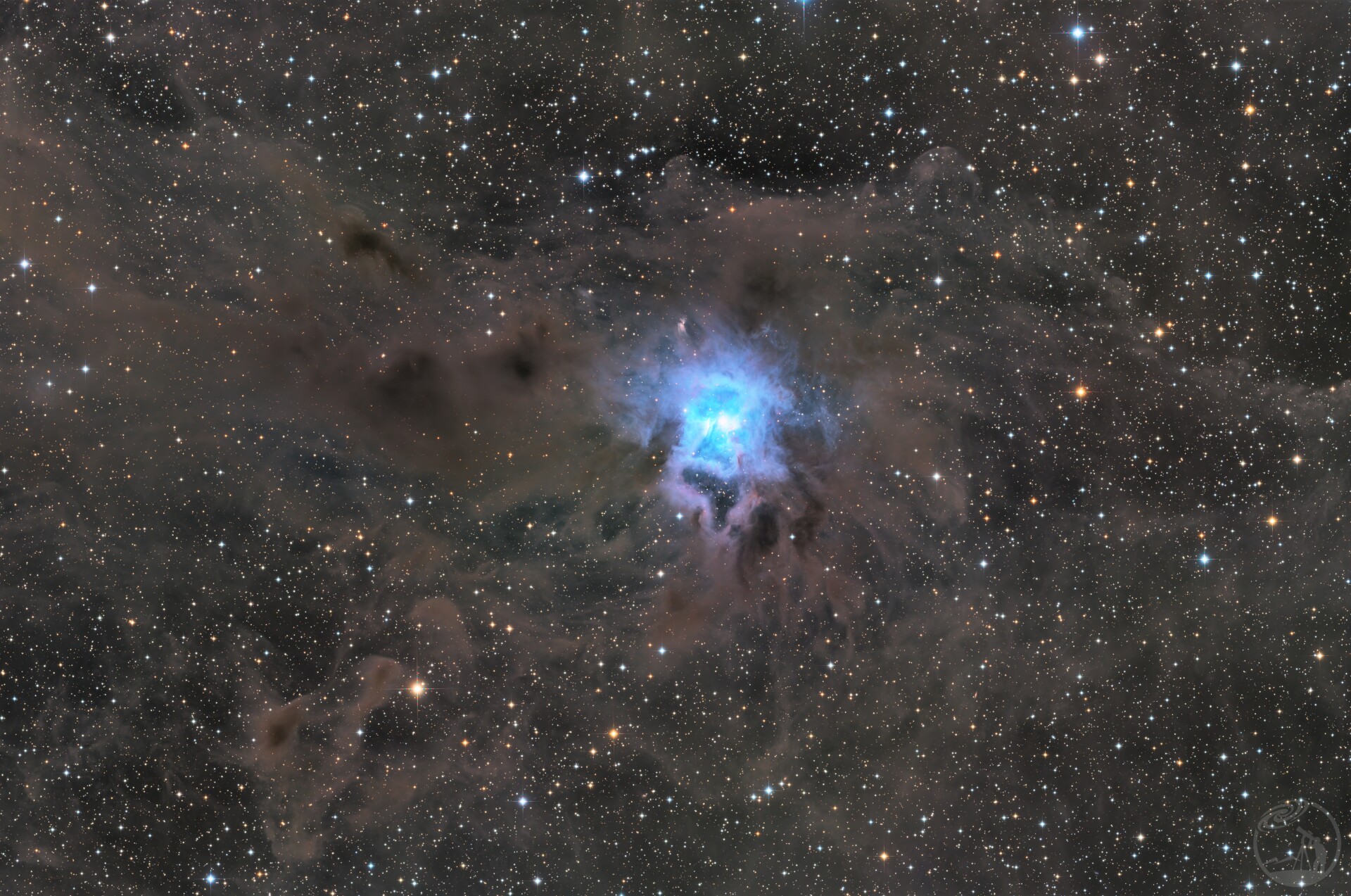 NGC7023 鸢尾花