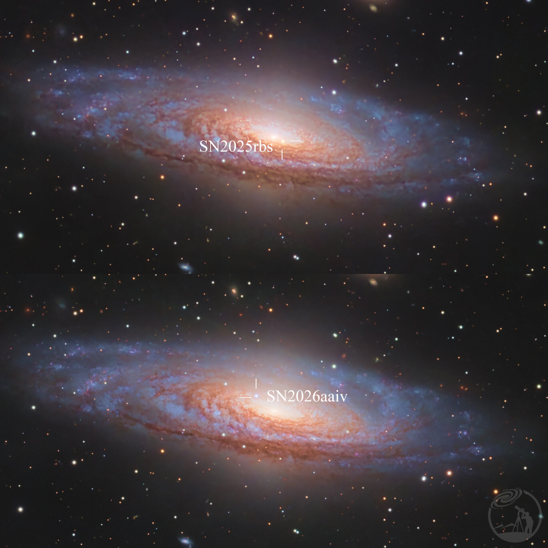鹿舔星系超新星