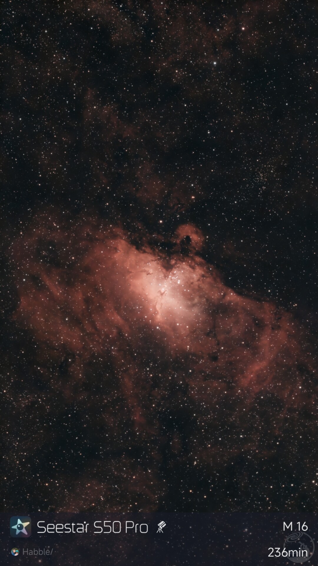 出图3张星云快餐