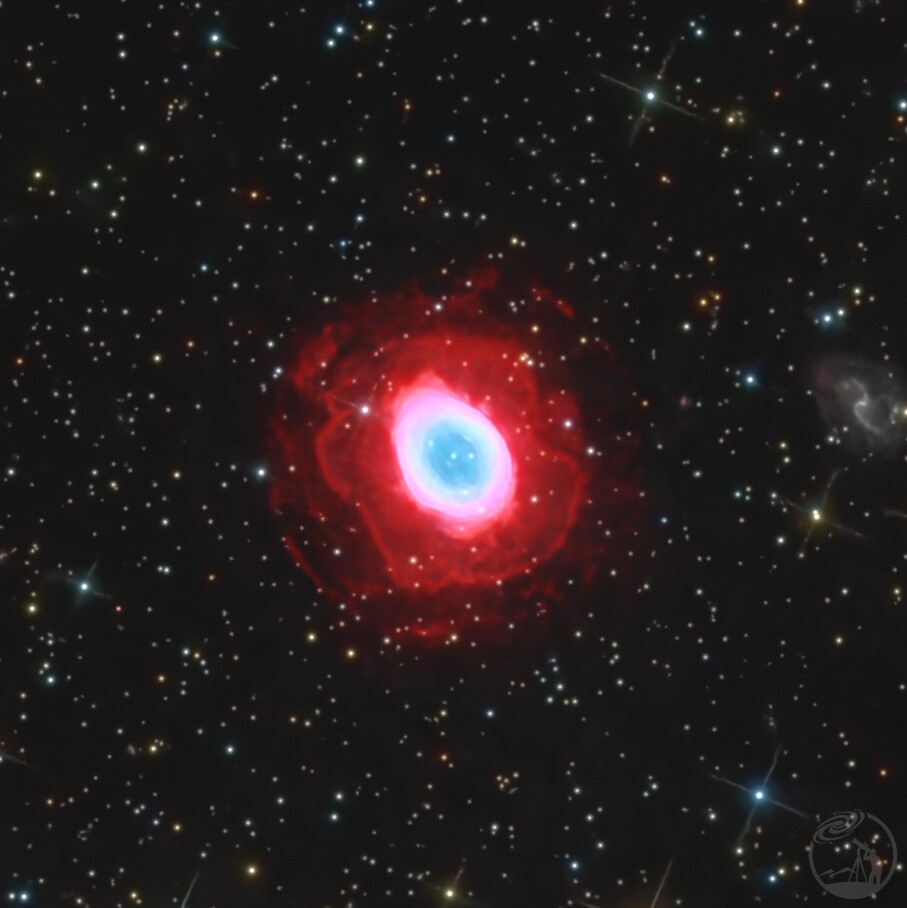 玫瑰花、孤岛与星海