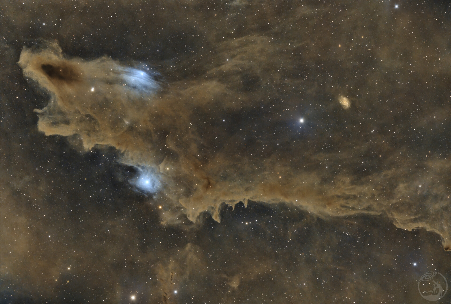 黑鲨星云(LDN1235)