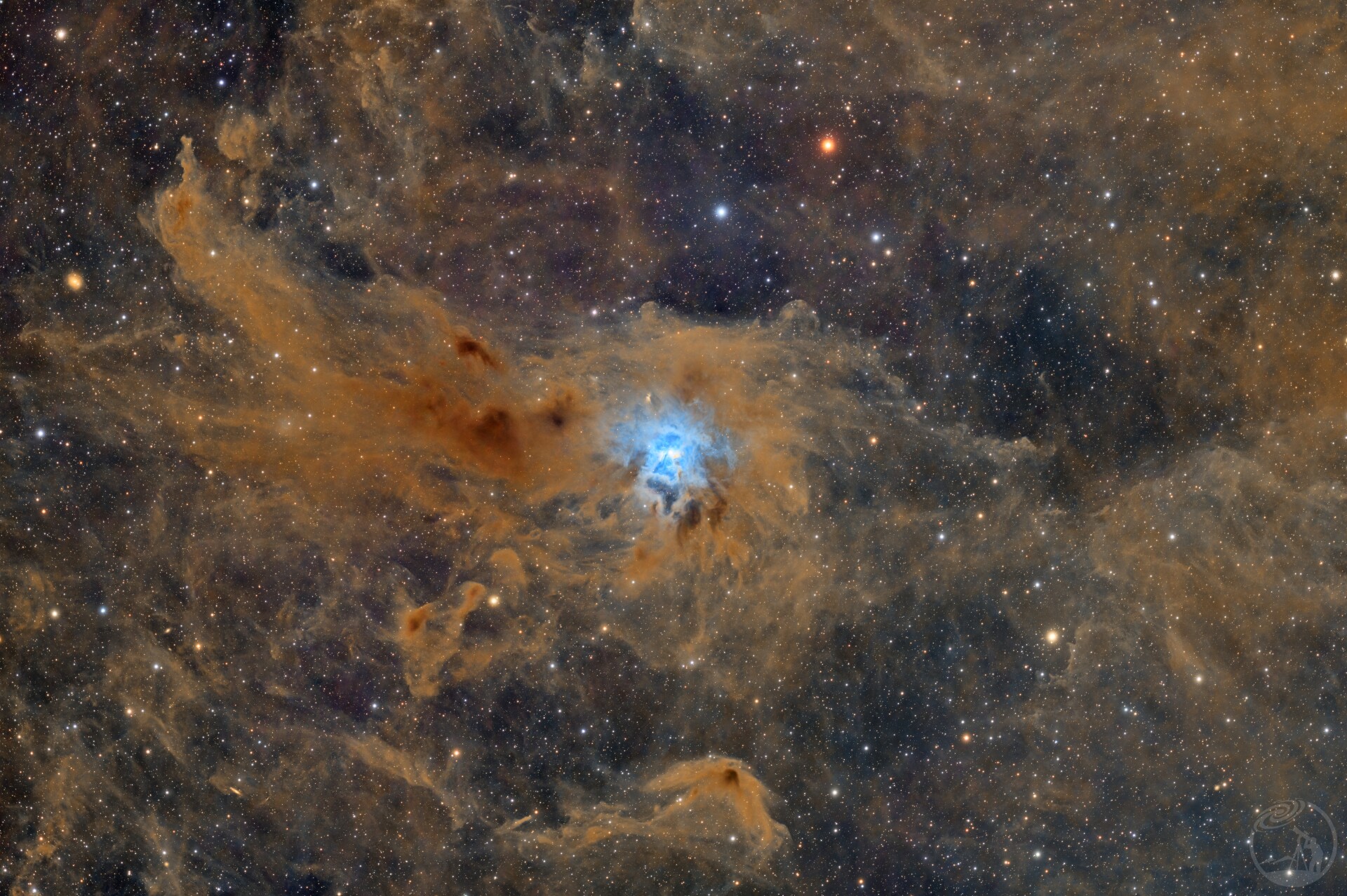 鸢尾花星云