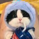 卡姿兰大眼