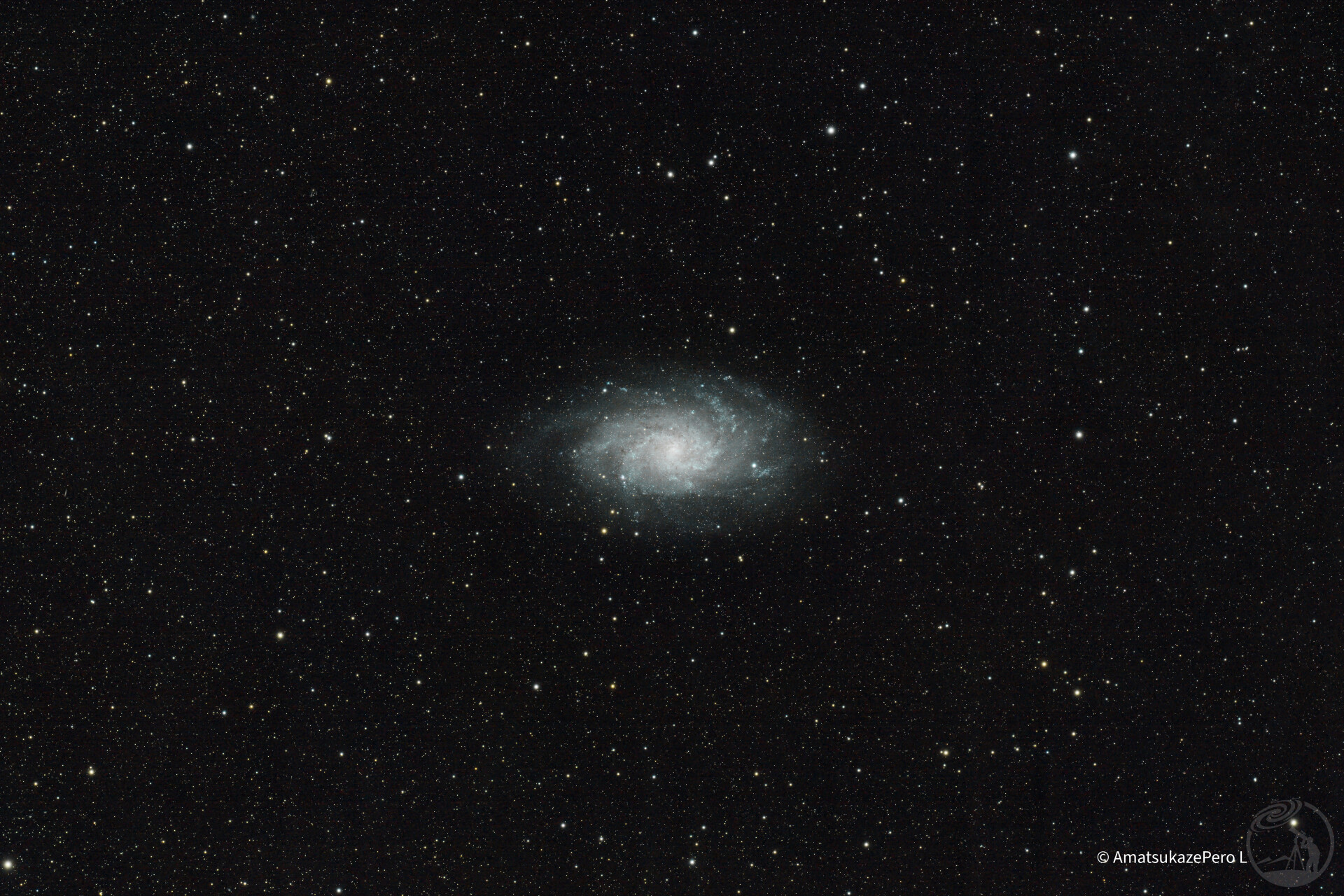 M33-AI后期测试